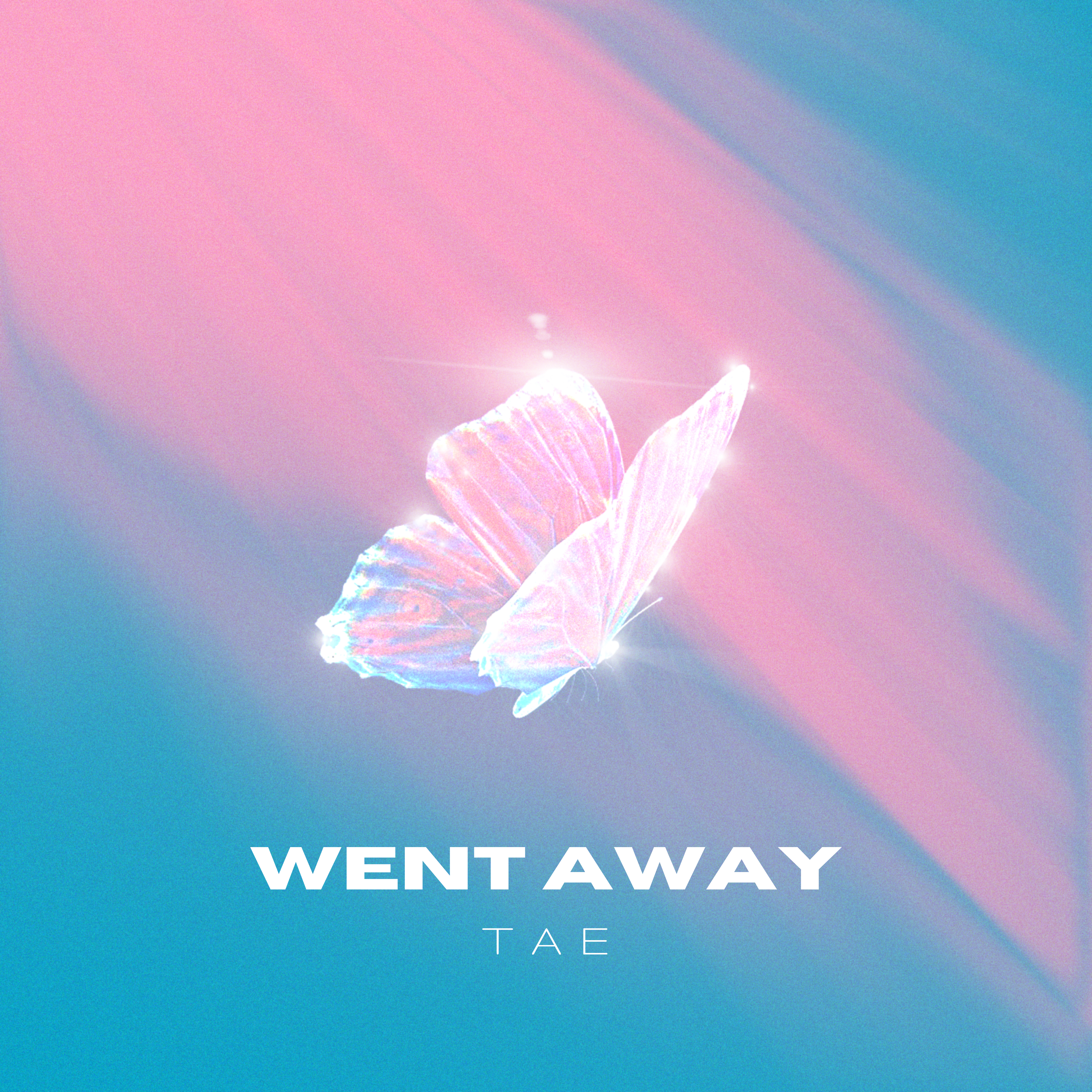 WENT AWAY artwork