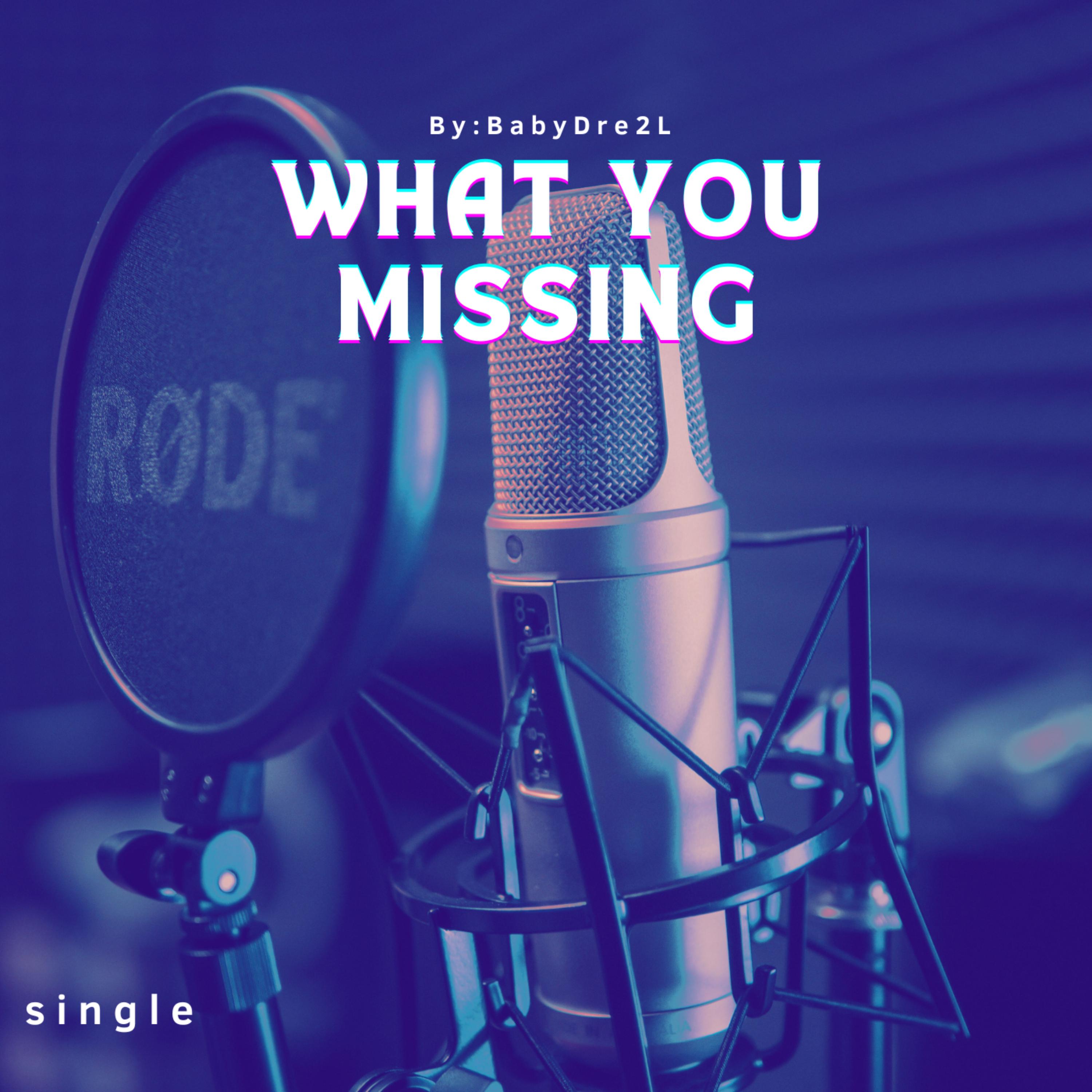 What Your Missing artwork