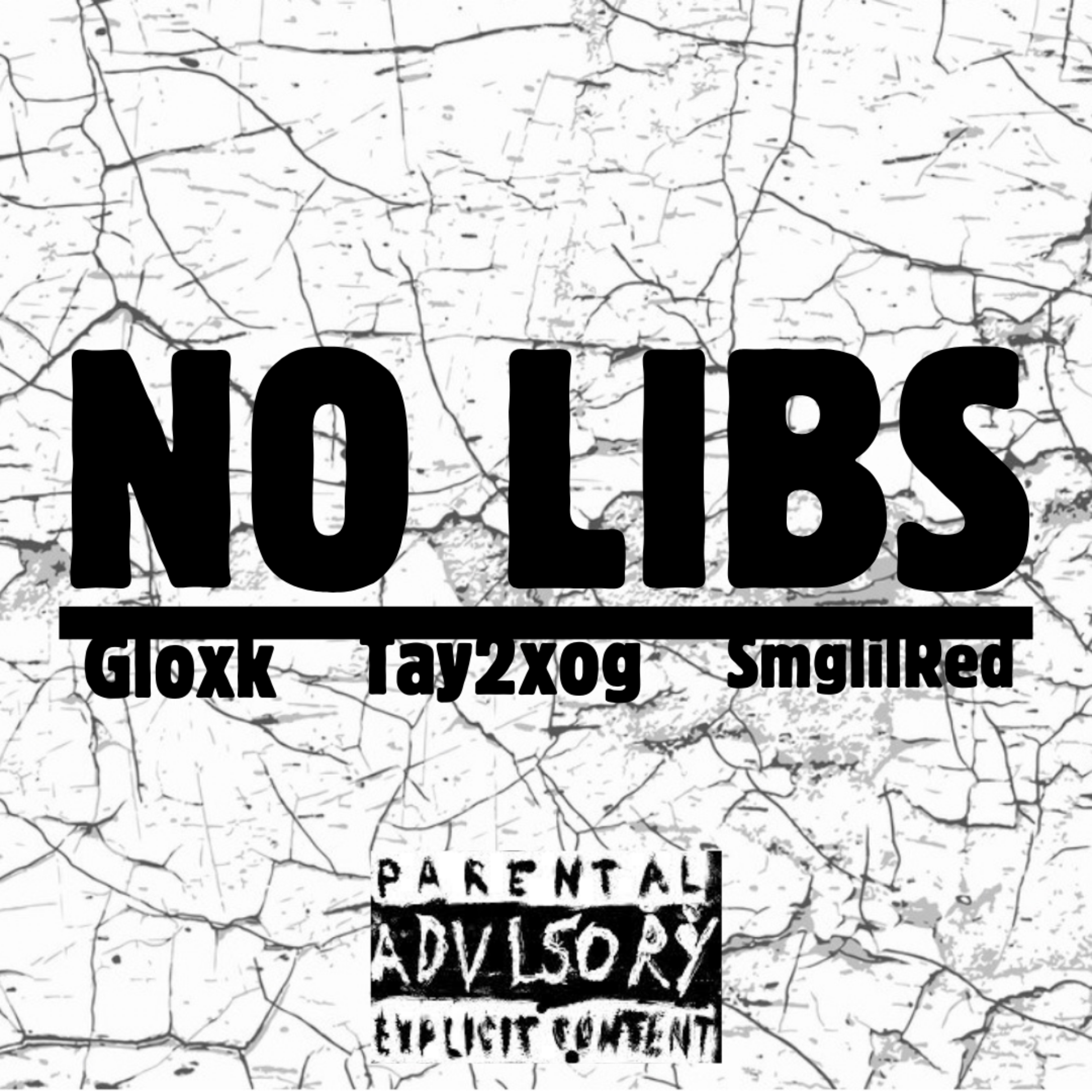 NO LIBS artwork