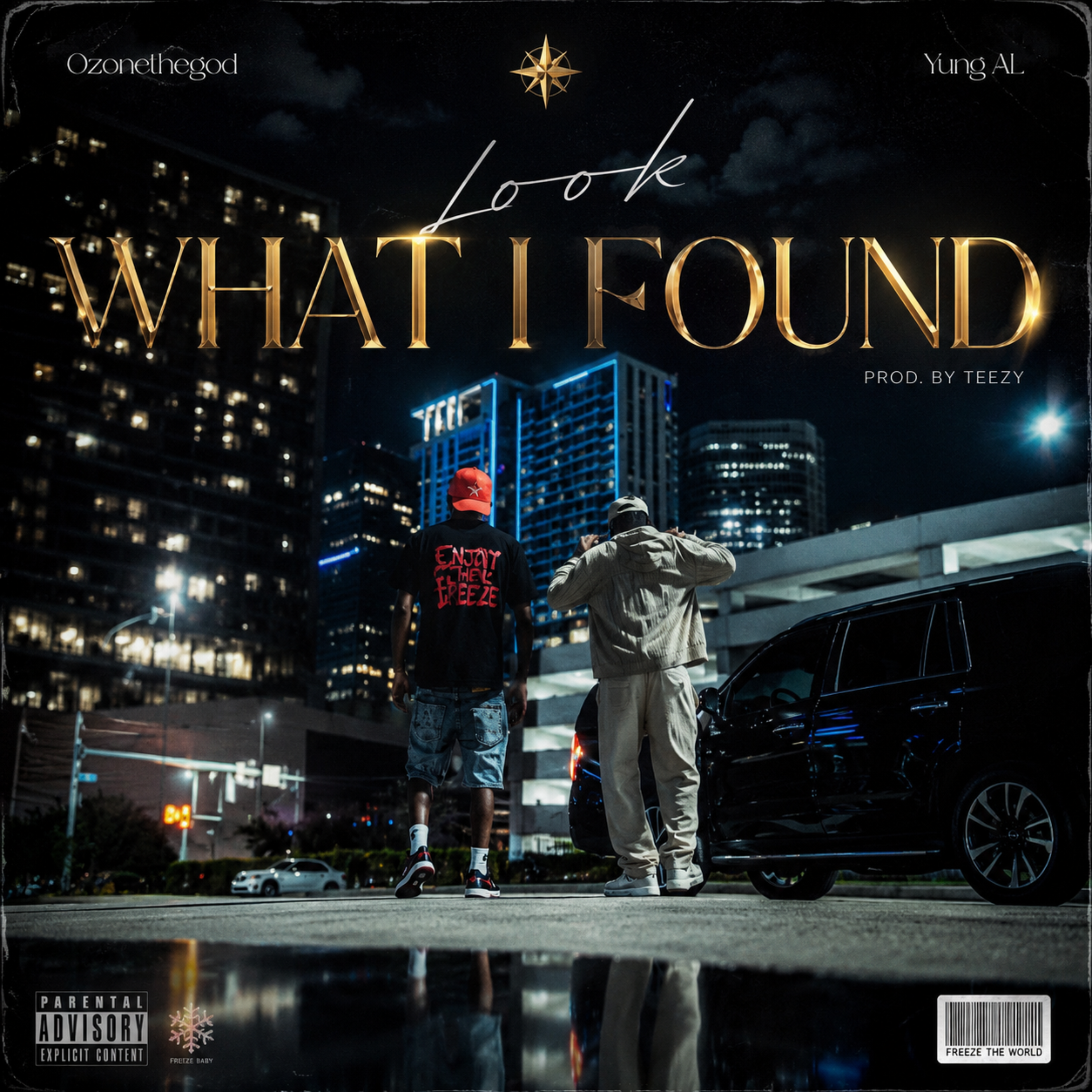 What I Found by Ozonethegod cover art