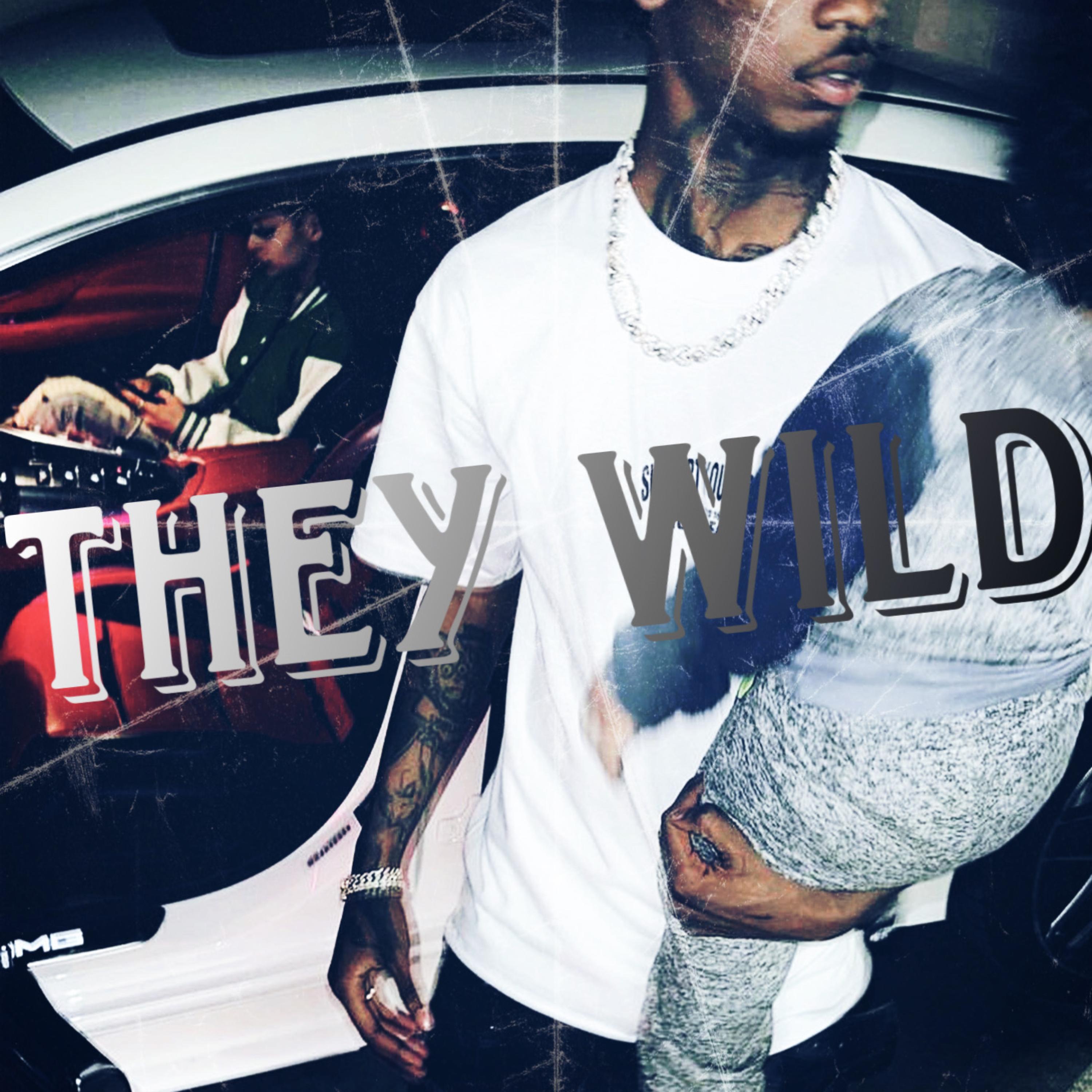 They Wild artwork