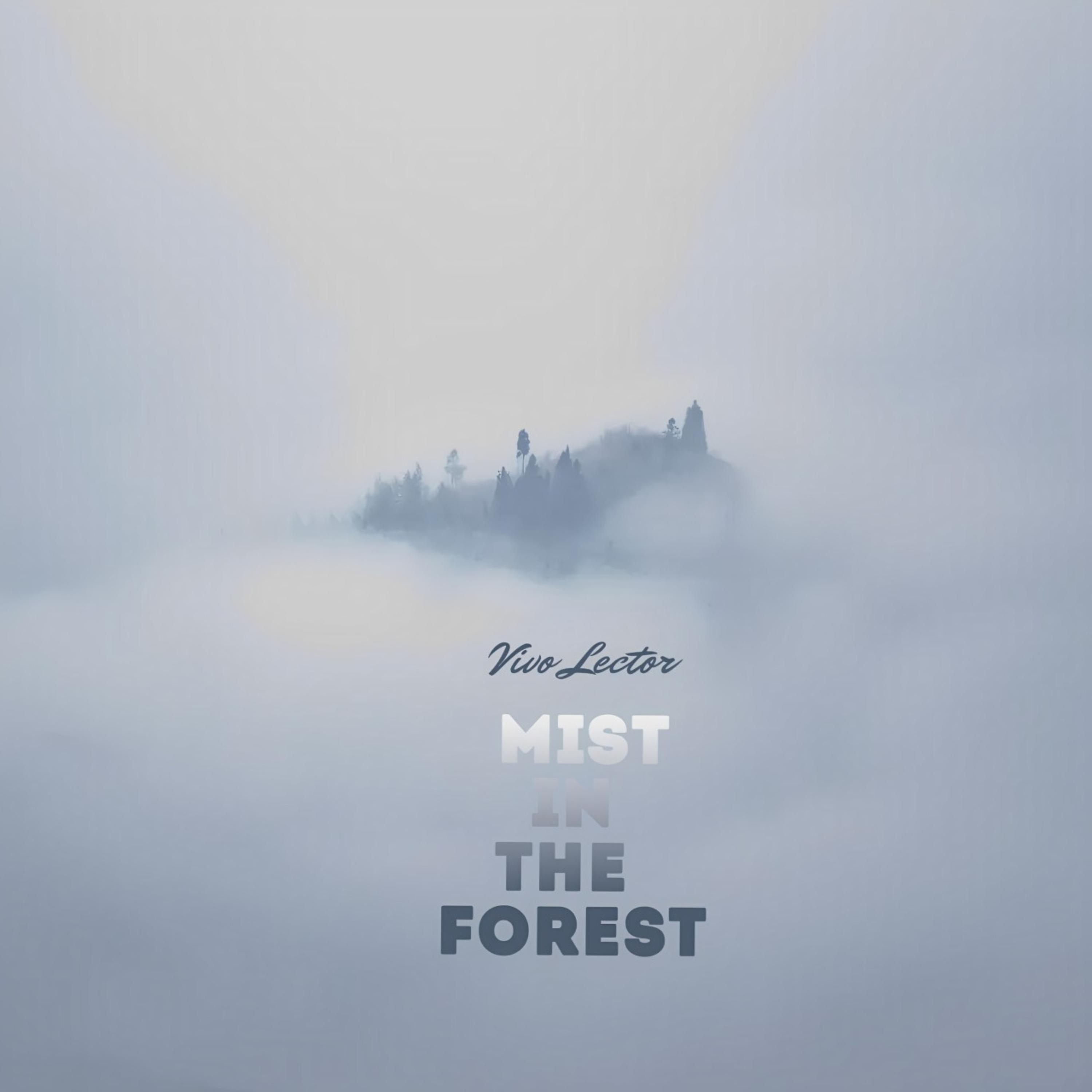 Mist In The forest artwork