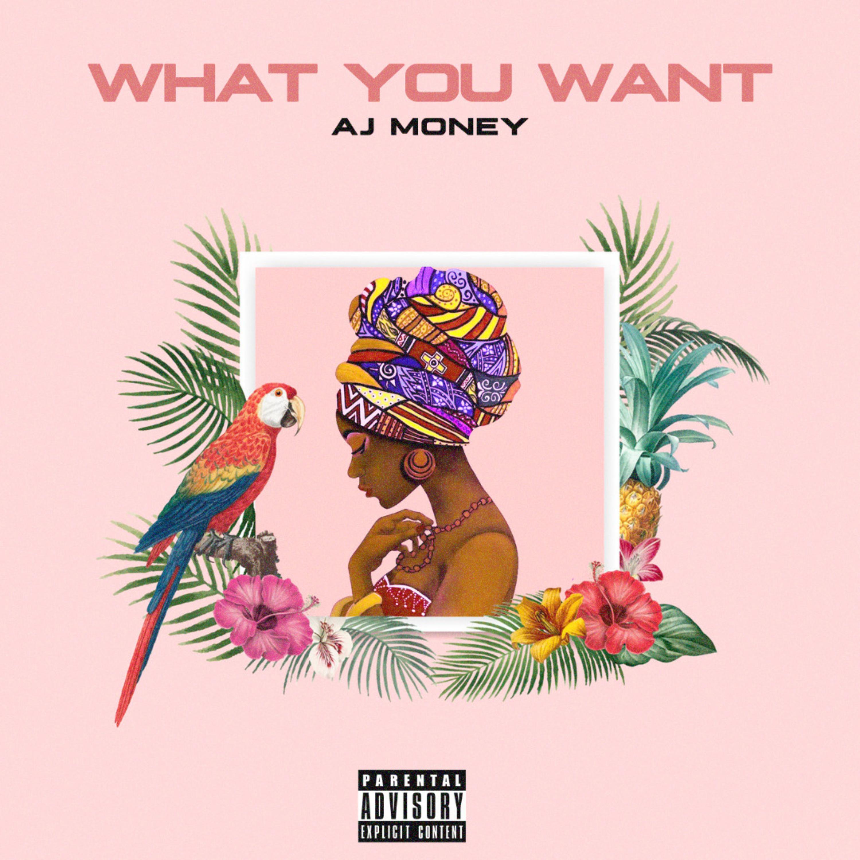 What You Want artwork