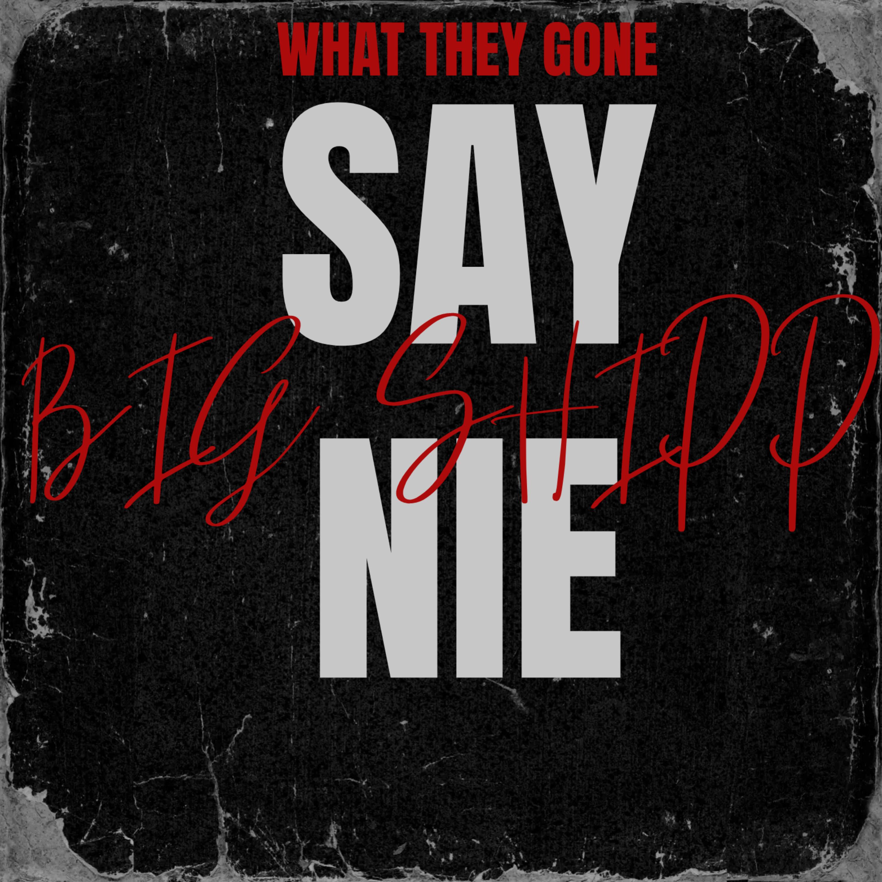 WHAT THEY GONE SAY NIE artwork
