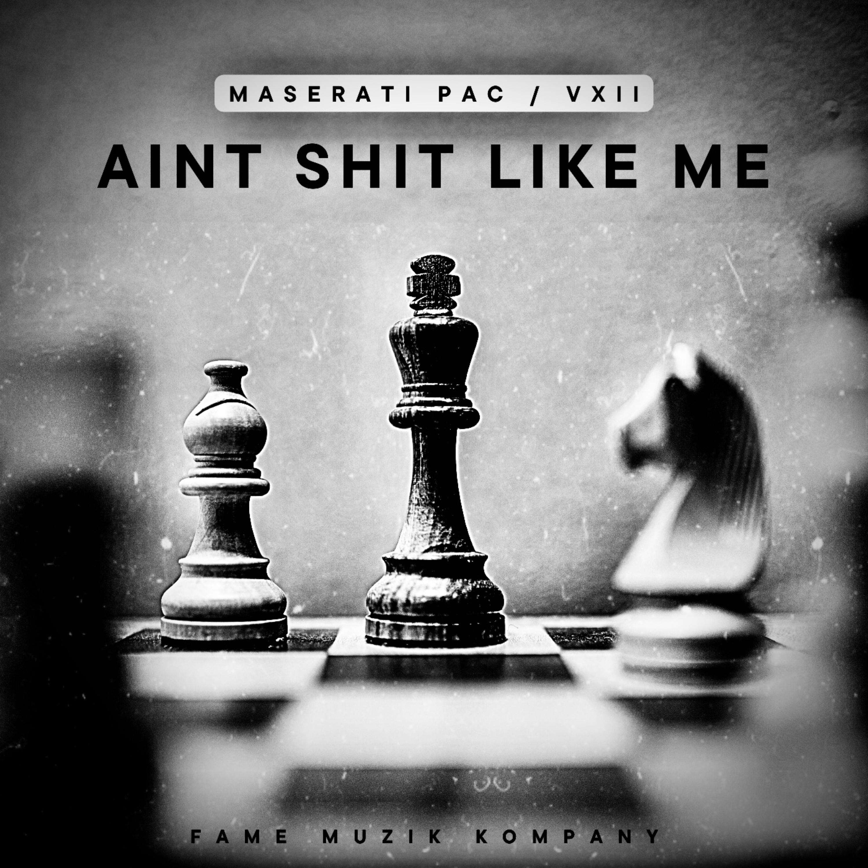 Aint Shit Like Me artwork