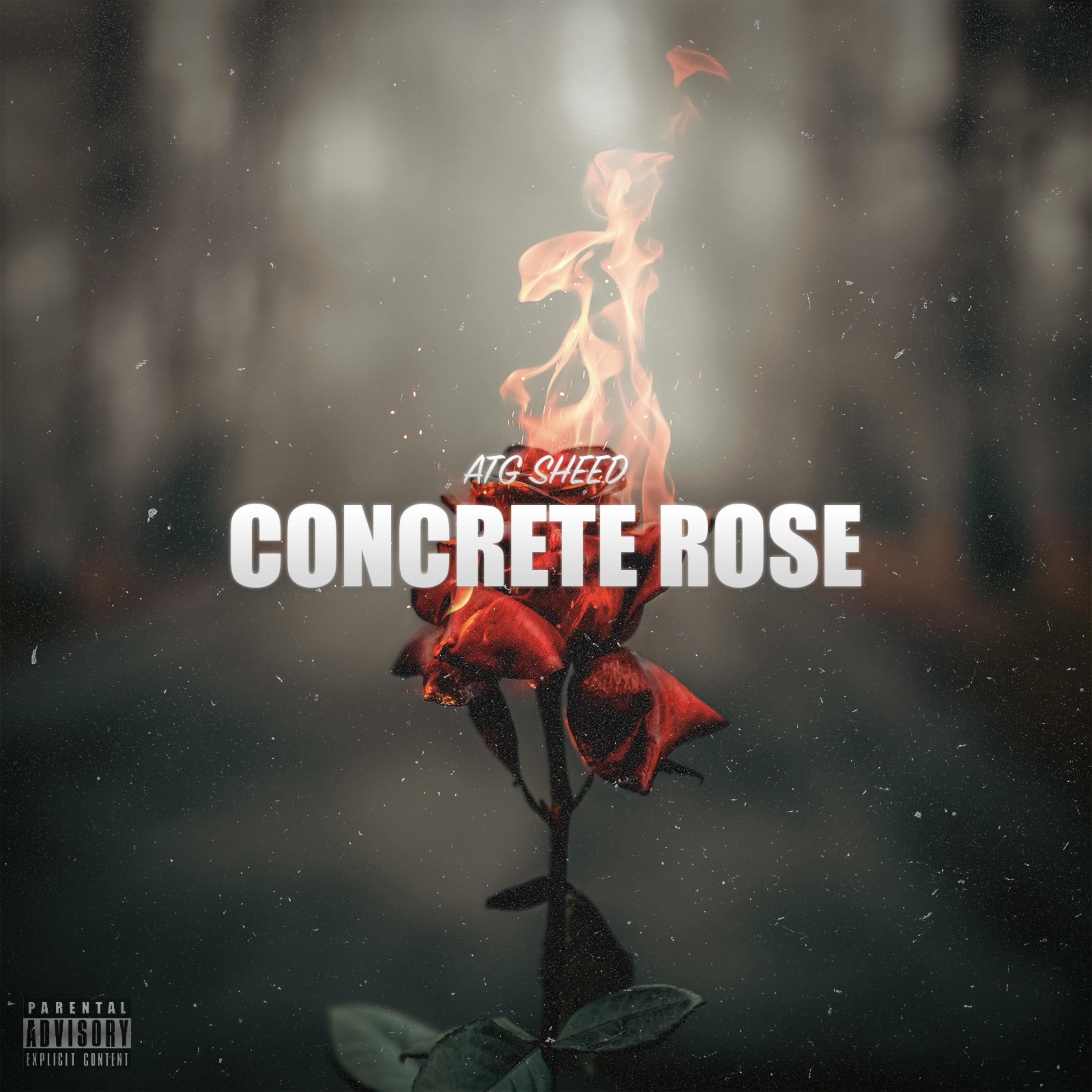 Concrete Rose artwork
