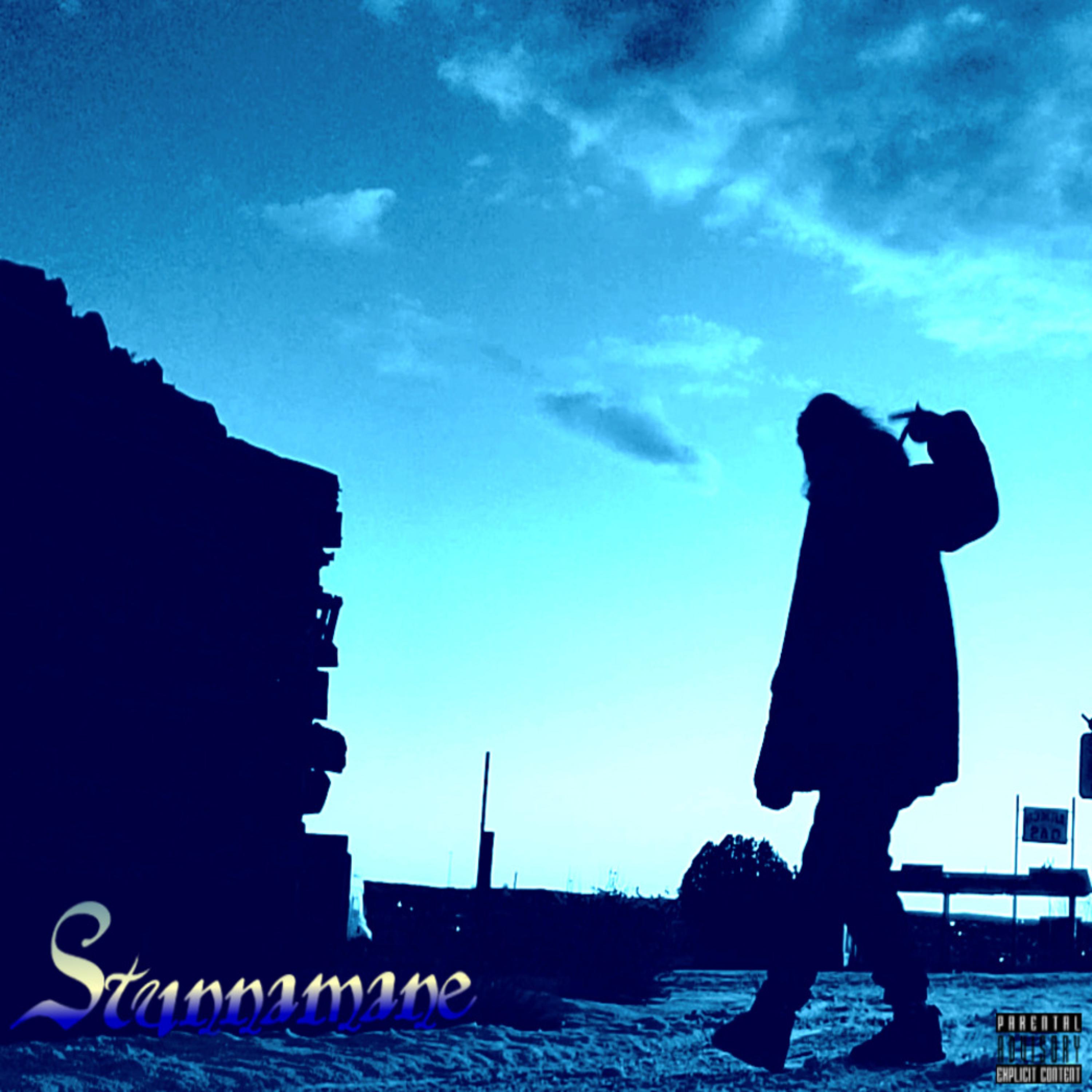Stunnamane artwork
