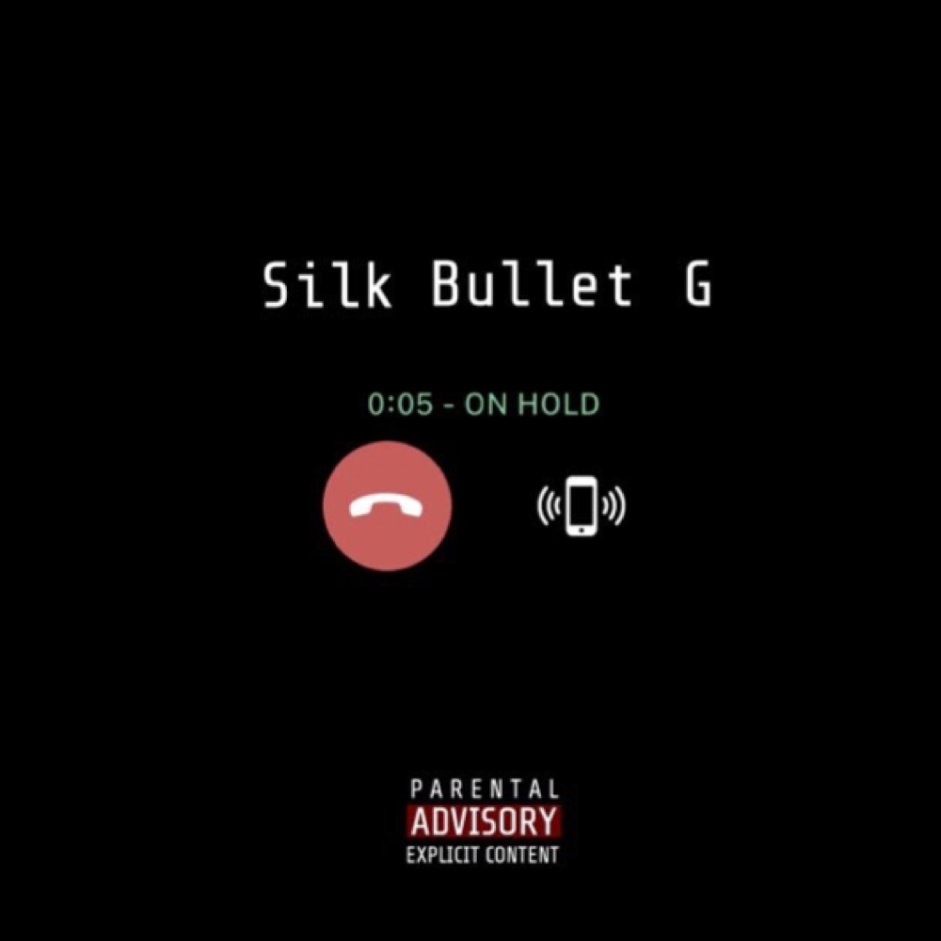 On Hold by Silk Mania cover art