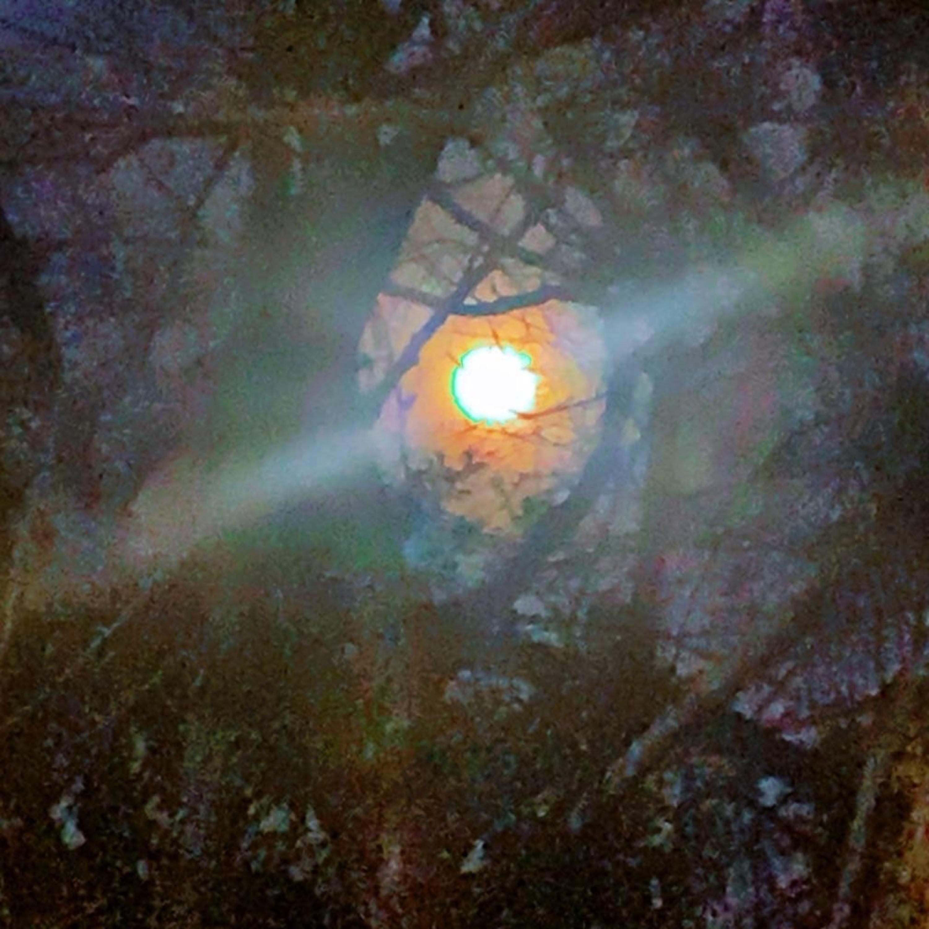 Attentiveness artwork