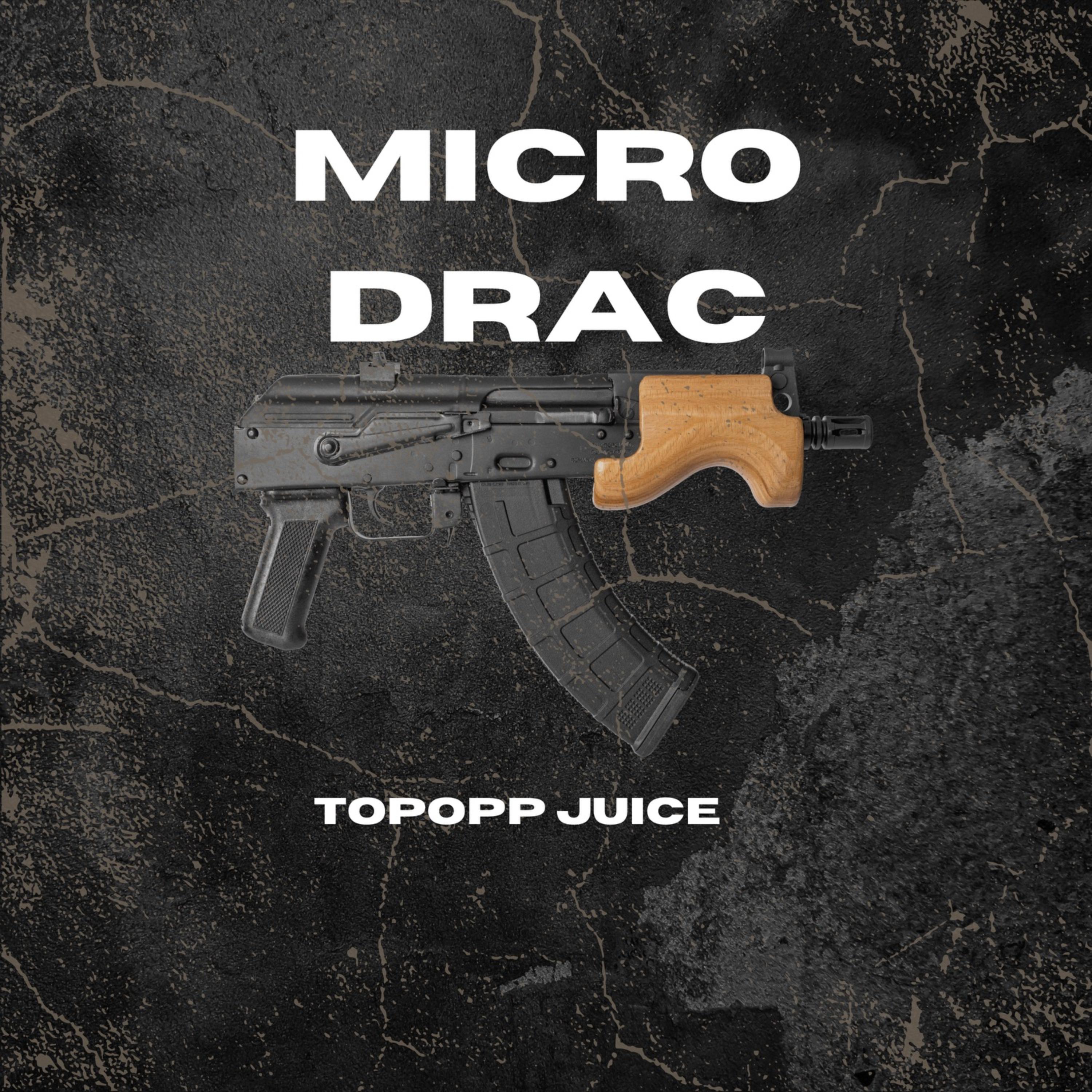 Micro Drac artwork