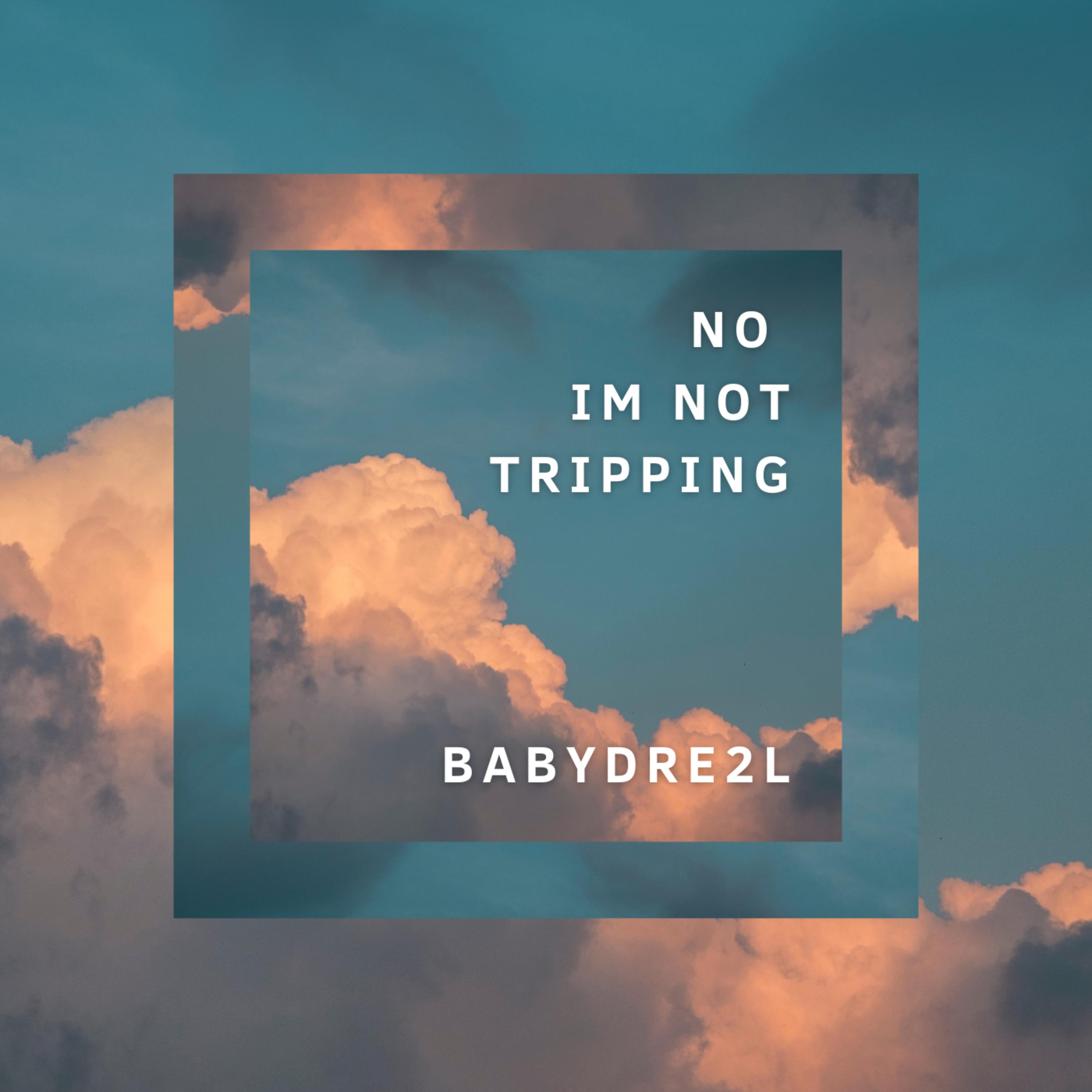 No Im Not Trippin artwork