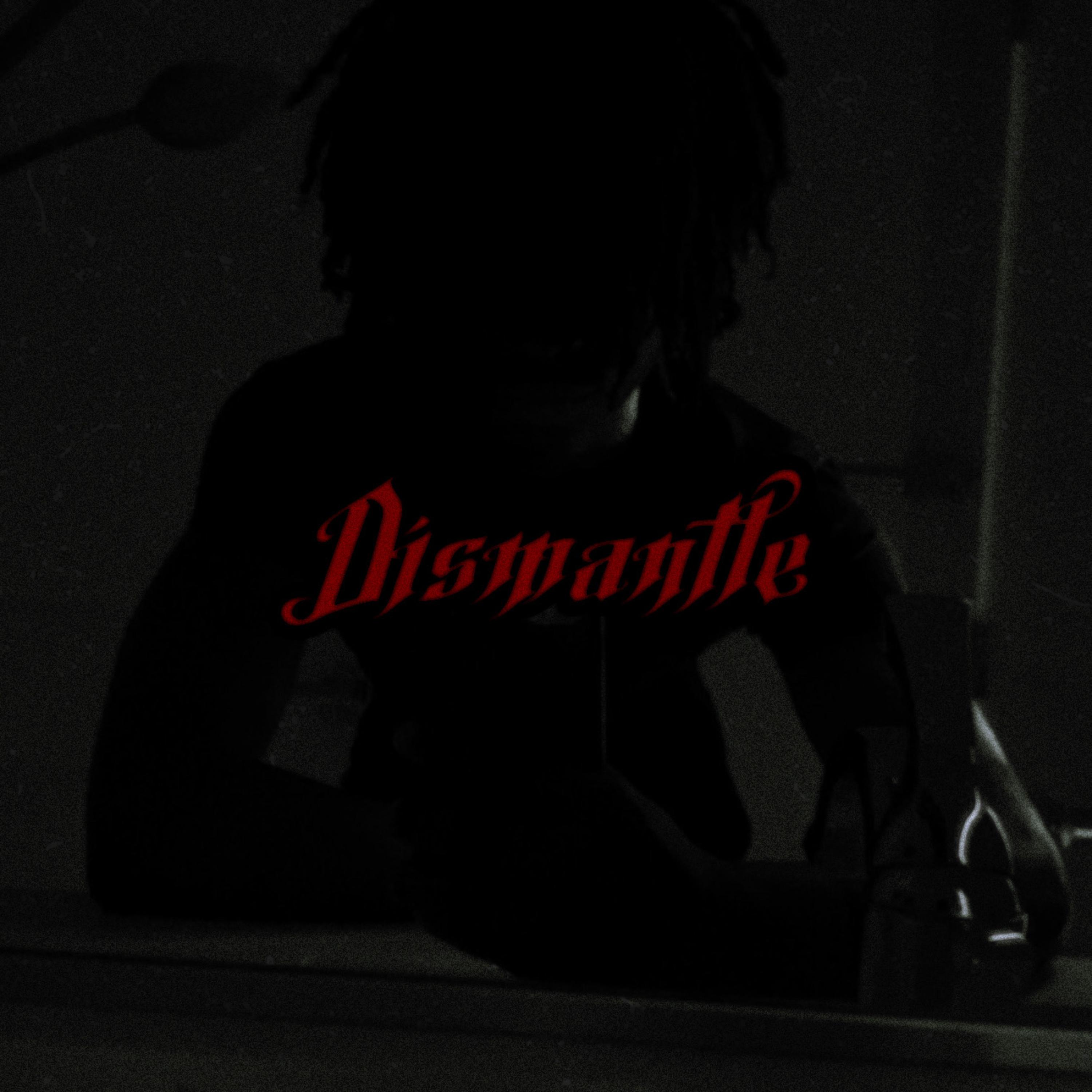 DISMANTLE artwork