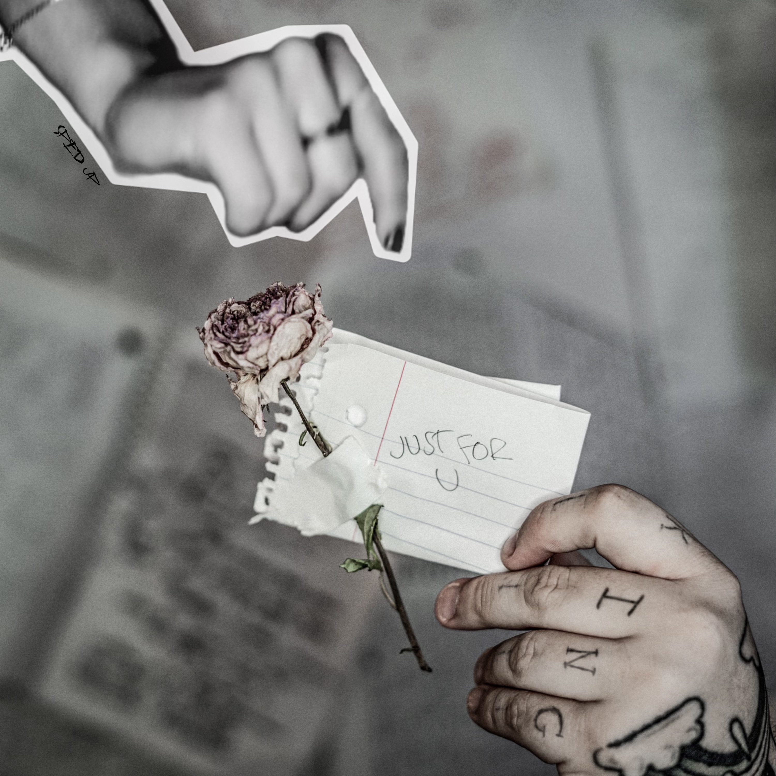 JUST FOR U (SPED UP REMIX) artwork