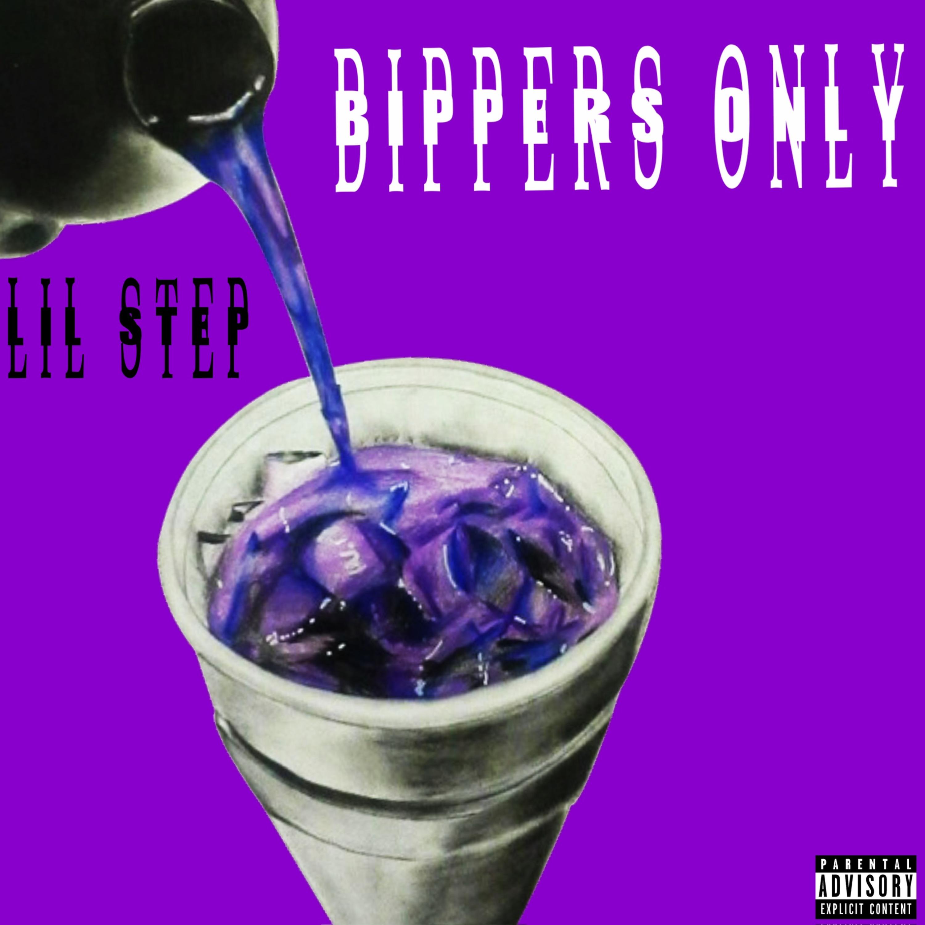 slimes and terp by Lil Step cover art