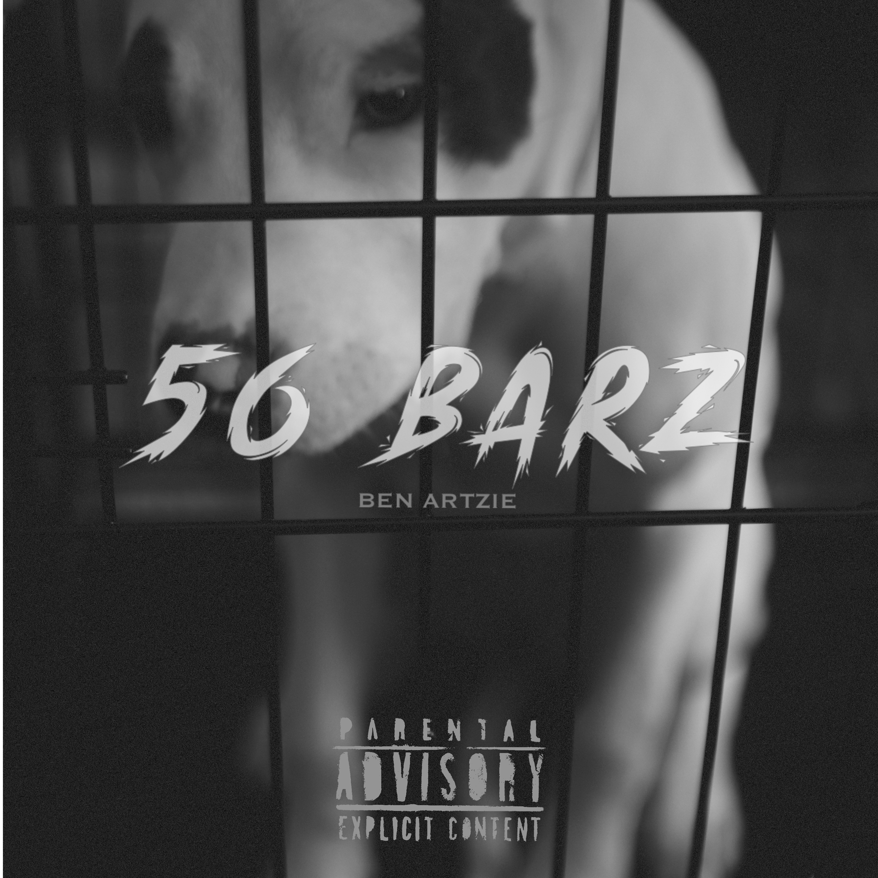 56 Barz artwork