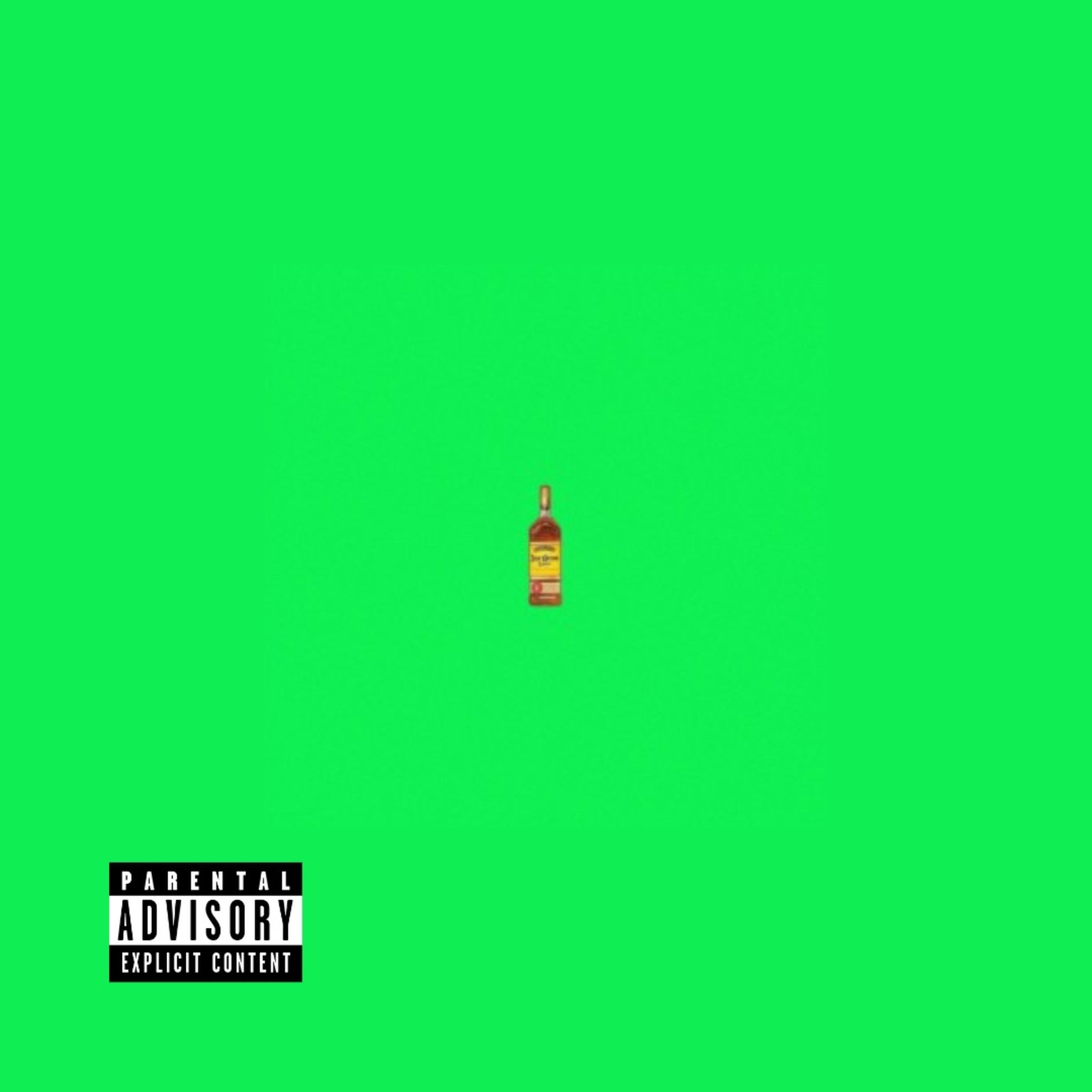 T.N.P artwork