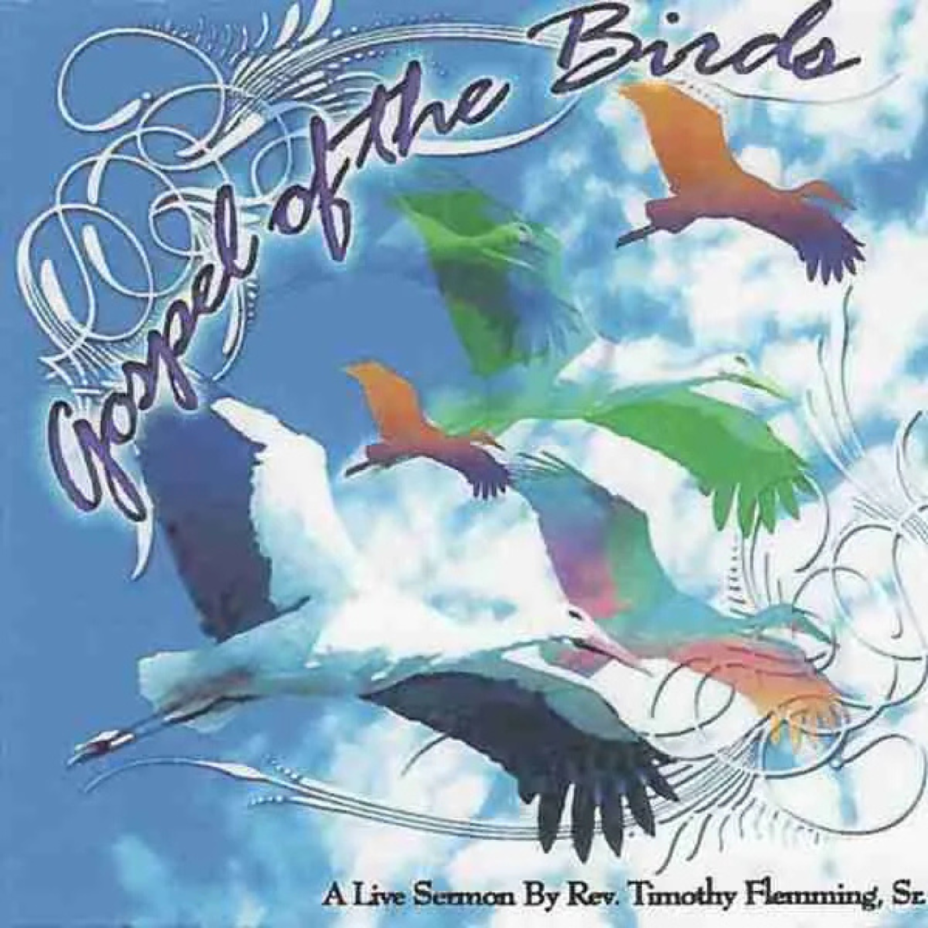 Gospel of the Birds artwork