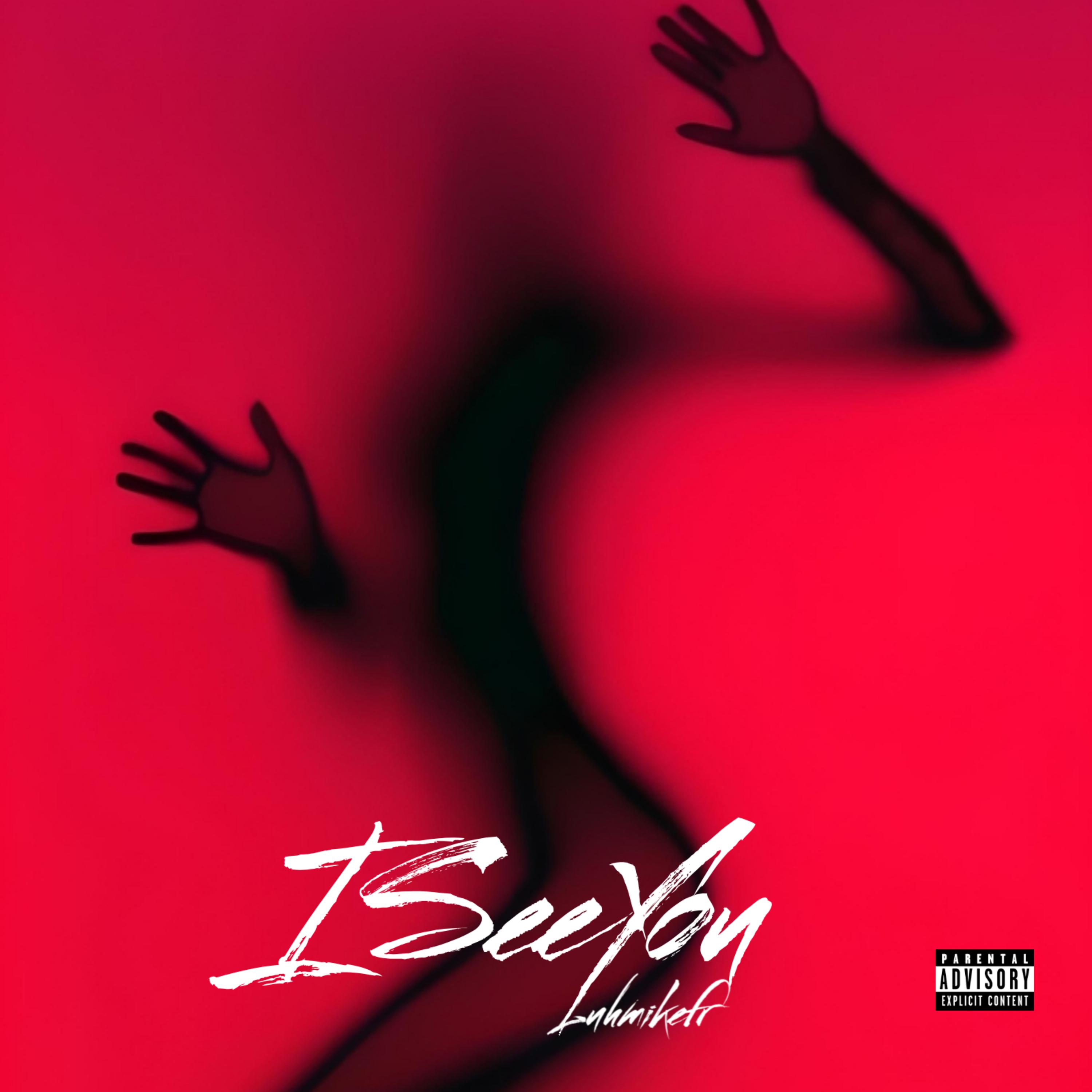 i see you artwork