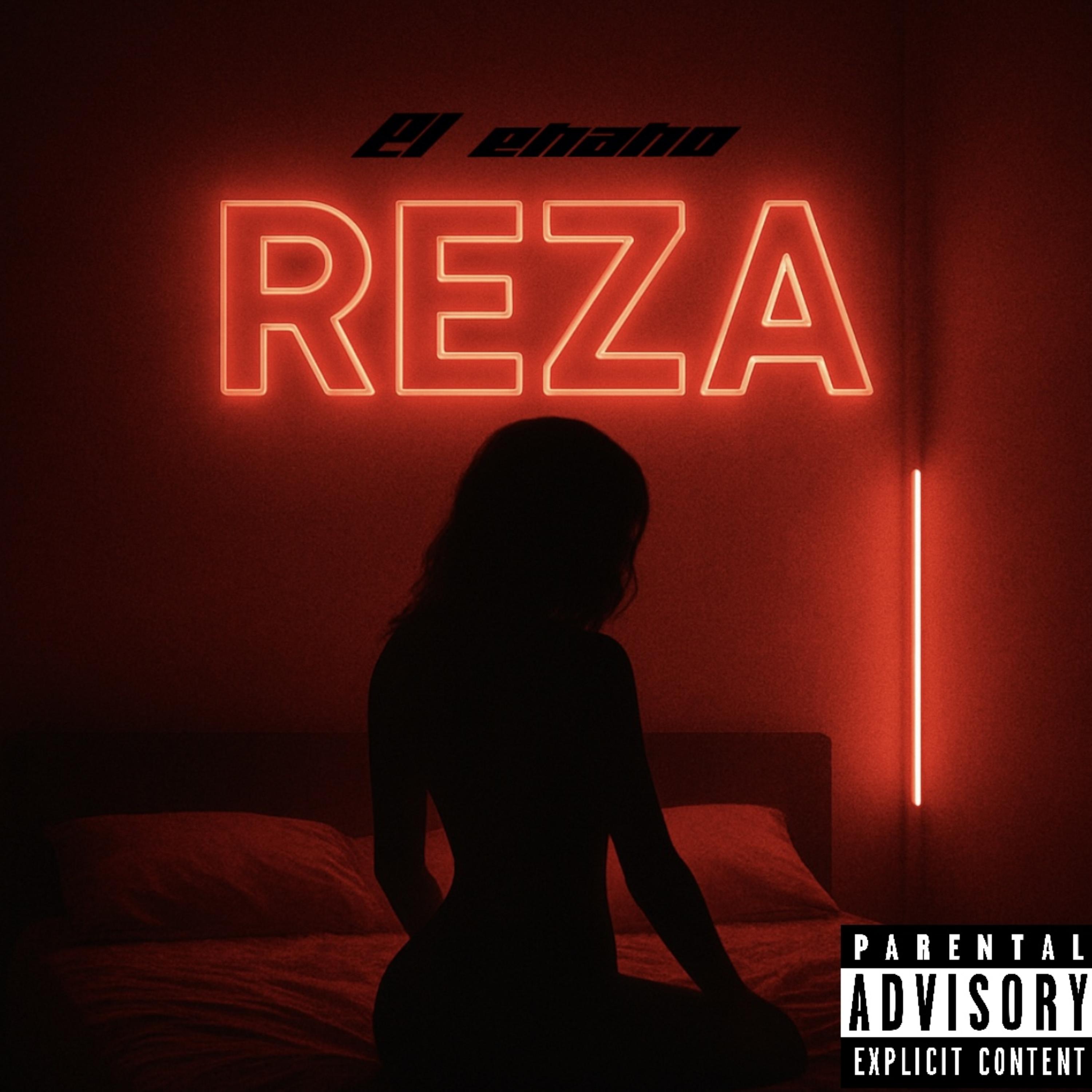 reza artwork