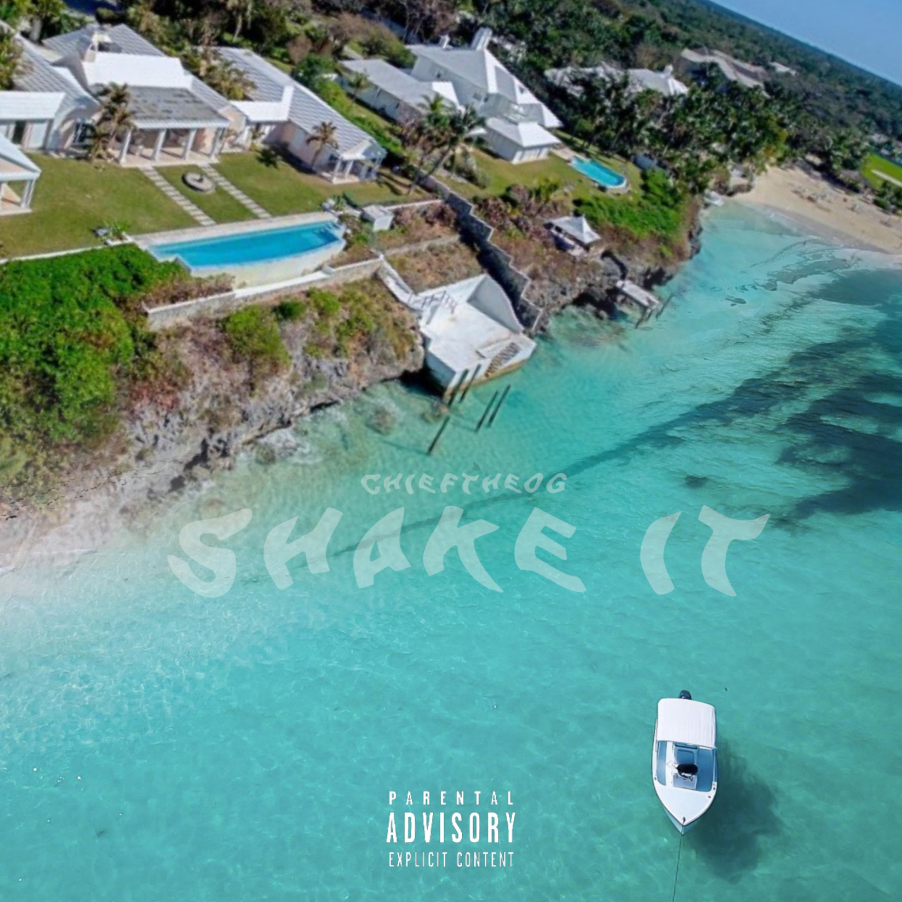 Shake It artwork
