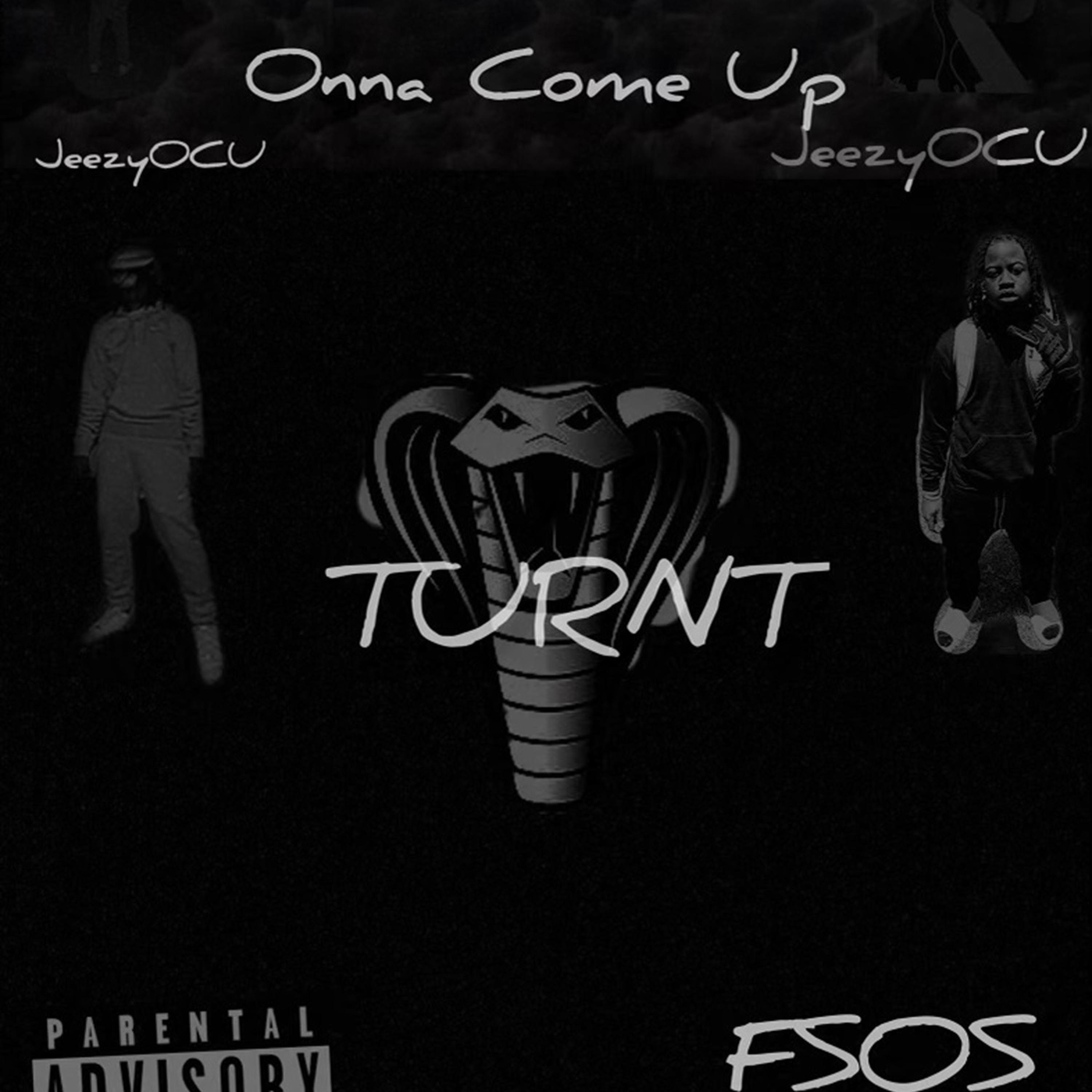 Turnt artwork