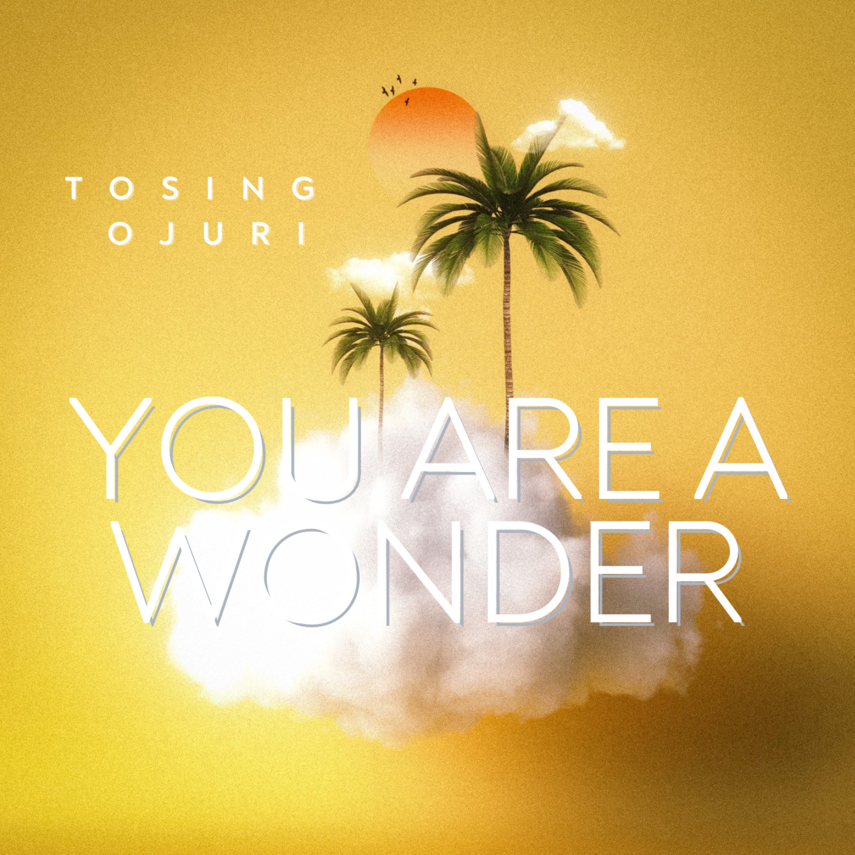 You Are A Wonder artwork