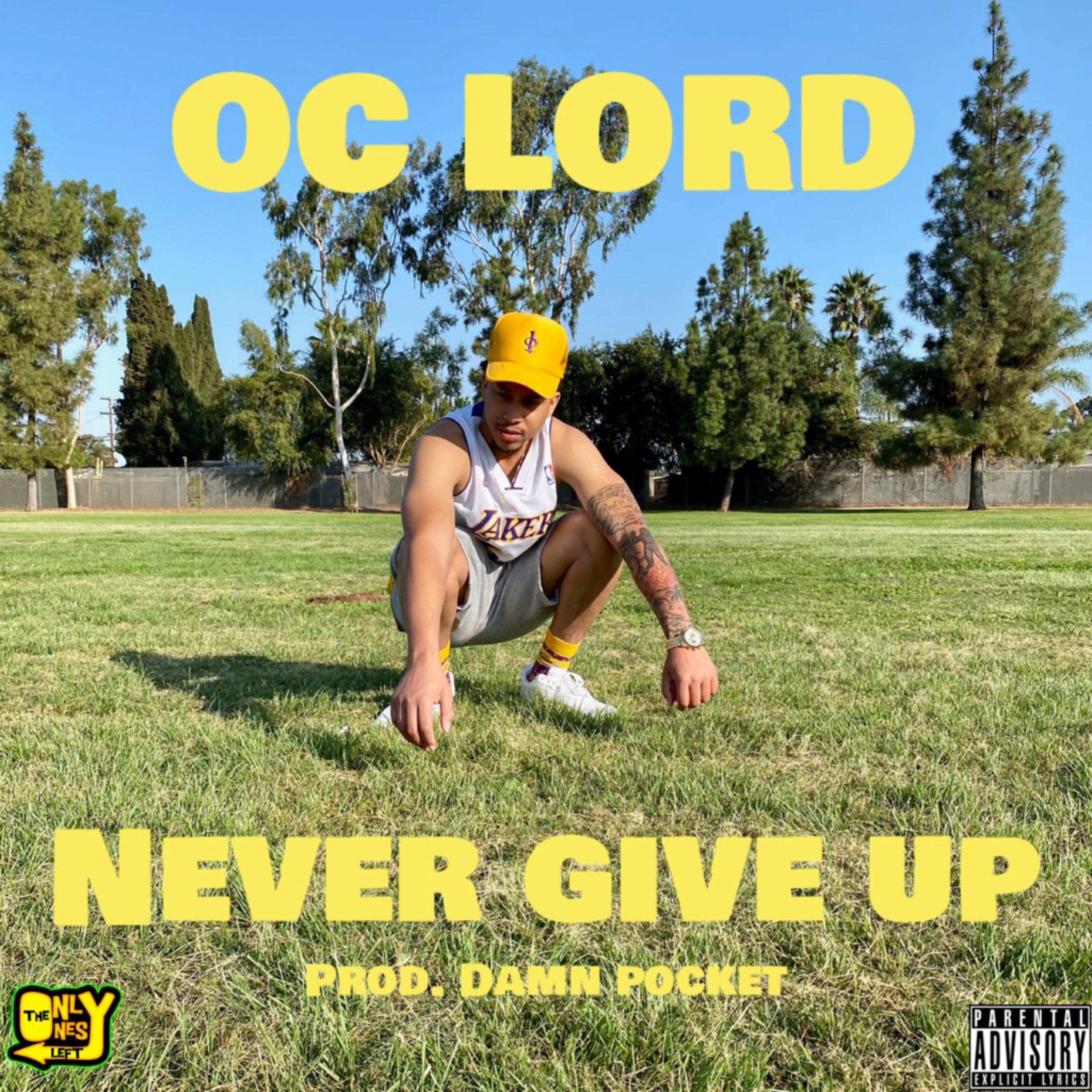 Never Give Up artwork