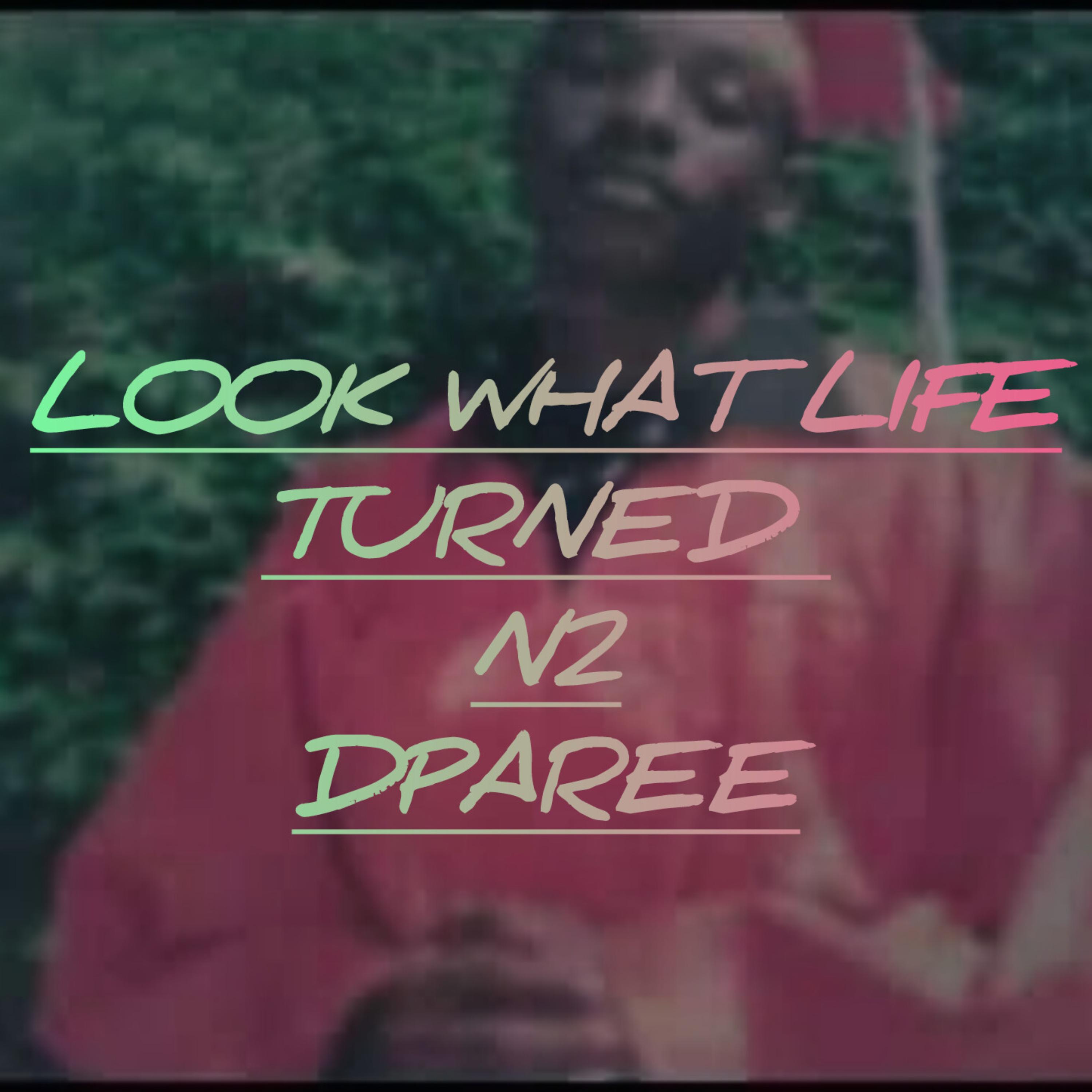 Look What Life Turned N2 artwork