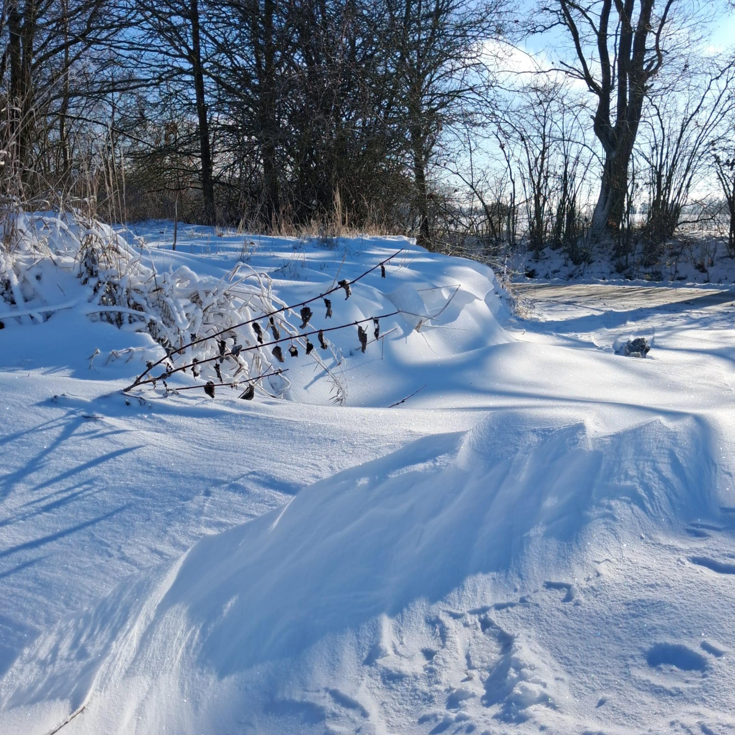 Winter magic artwork