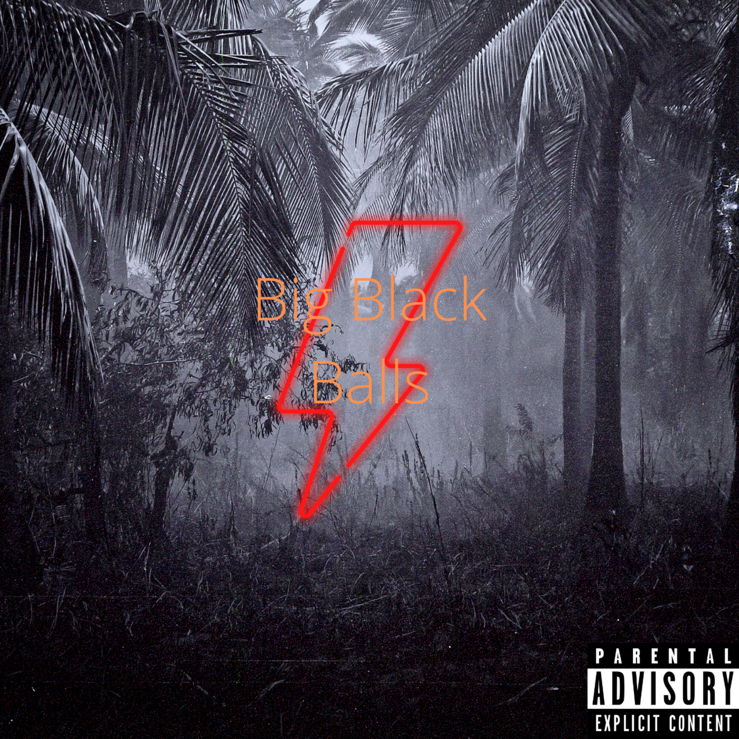 Big Black Balls artwork