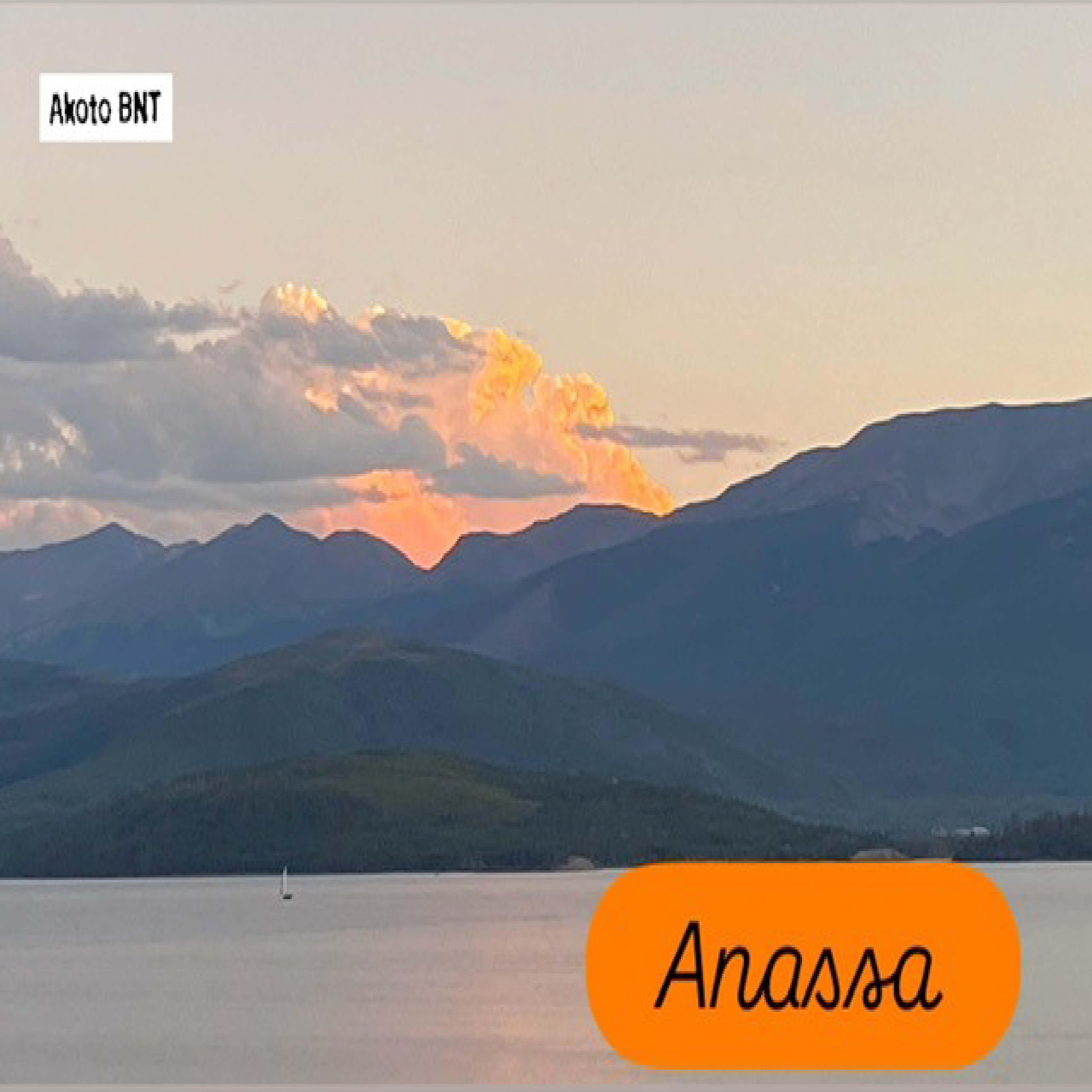 Anassa artwork