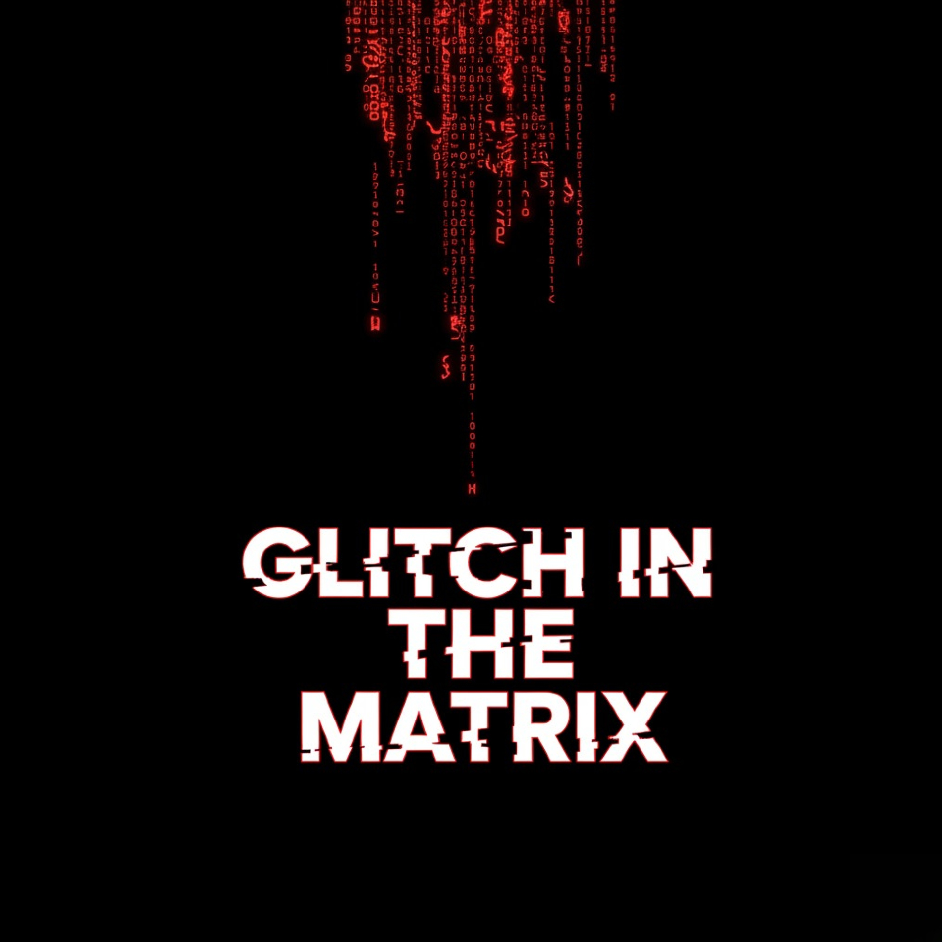 GLITCH IN THE MATRIX artwork