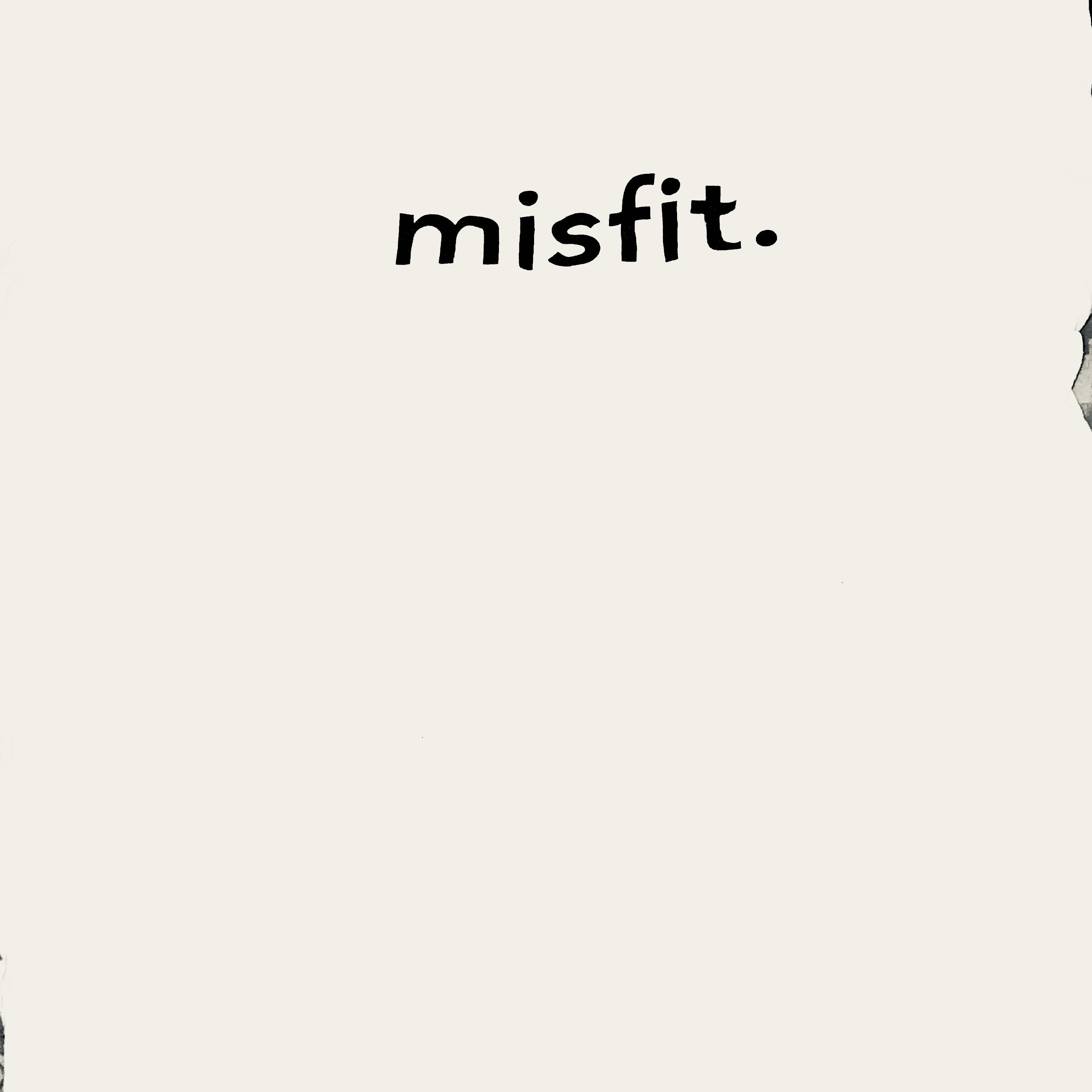Misfit artwork