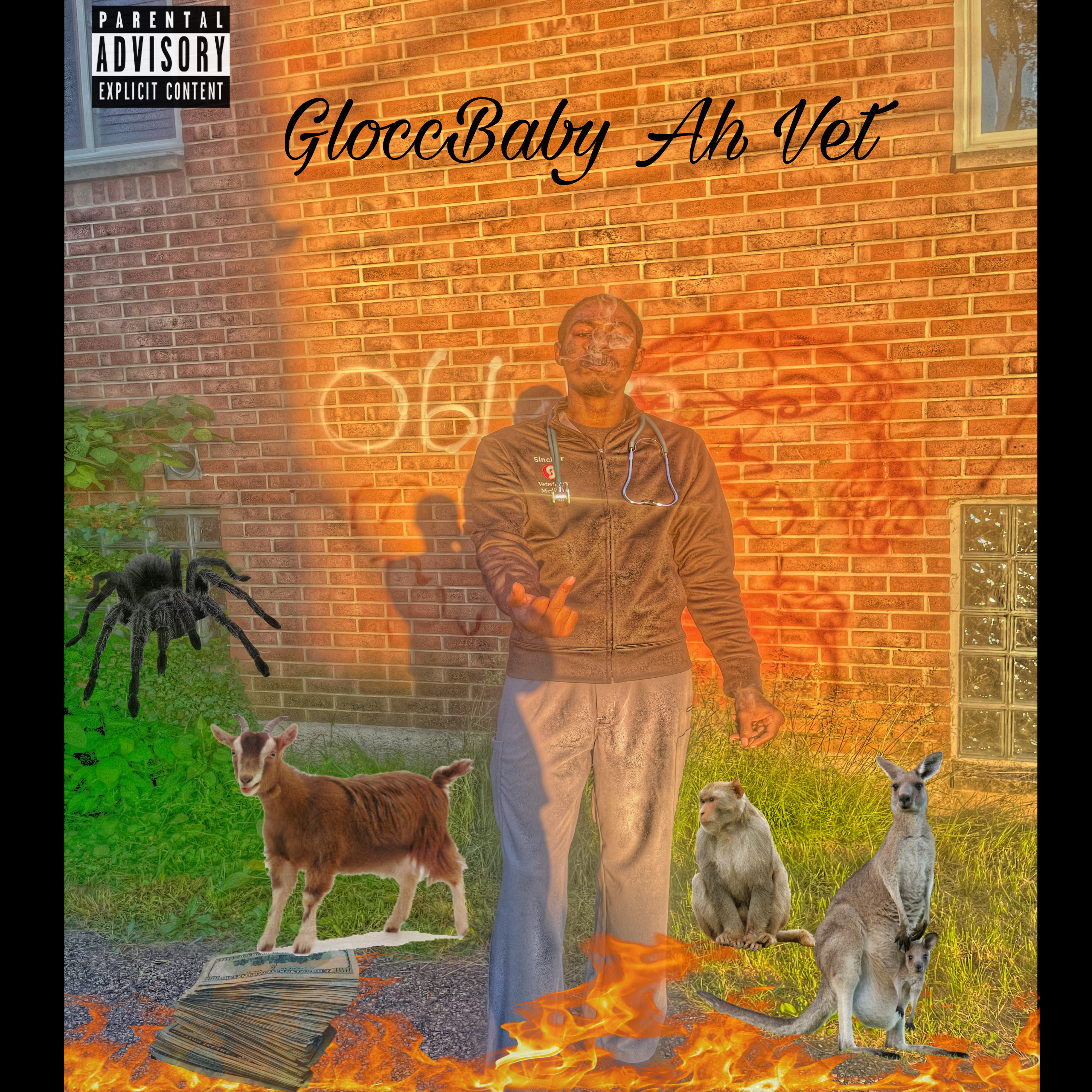 GloccBaby Ah Vet by GloccBabyfrm200 cover art