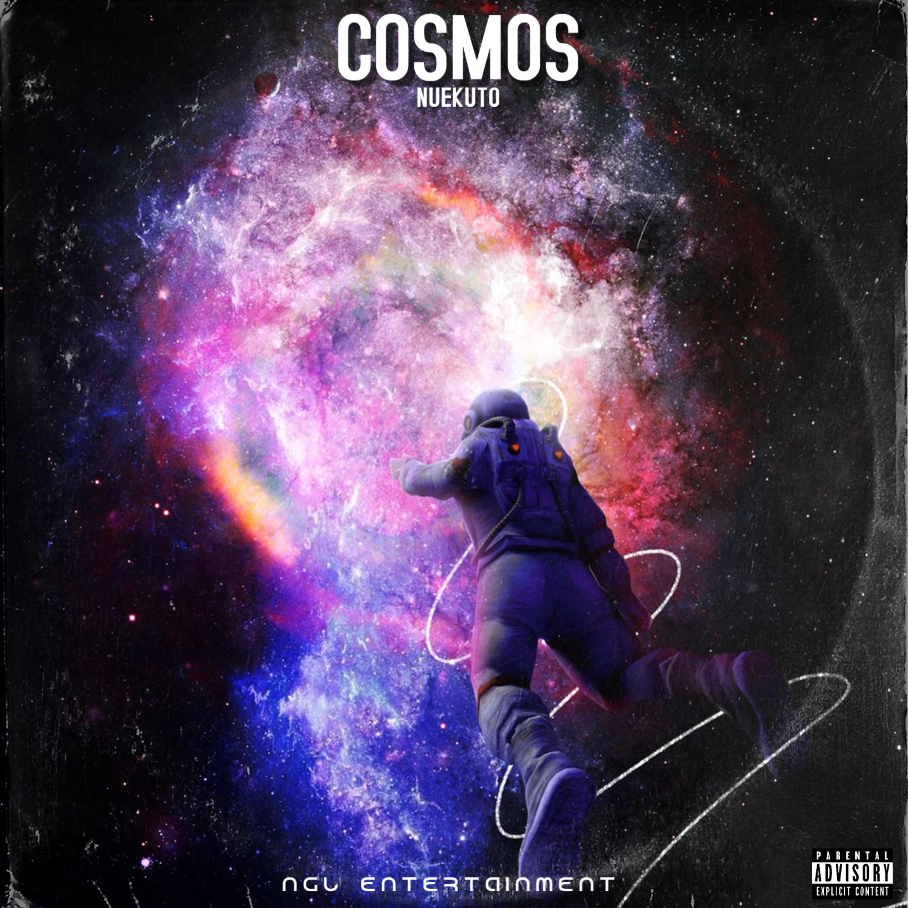 cosmos artwork