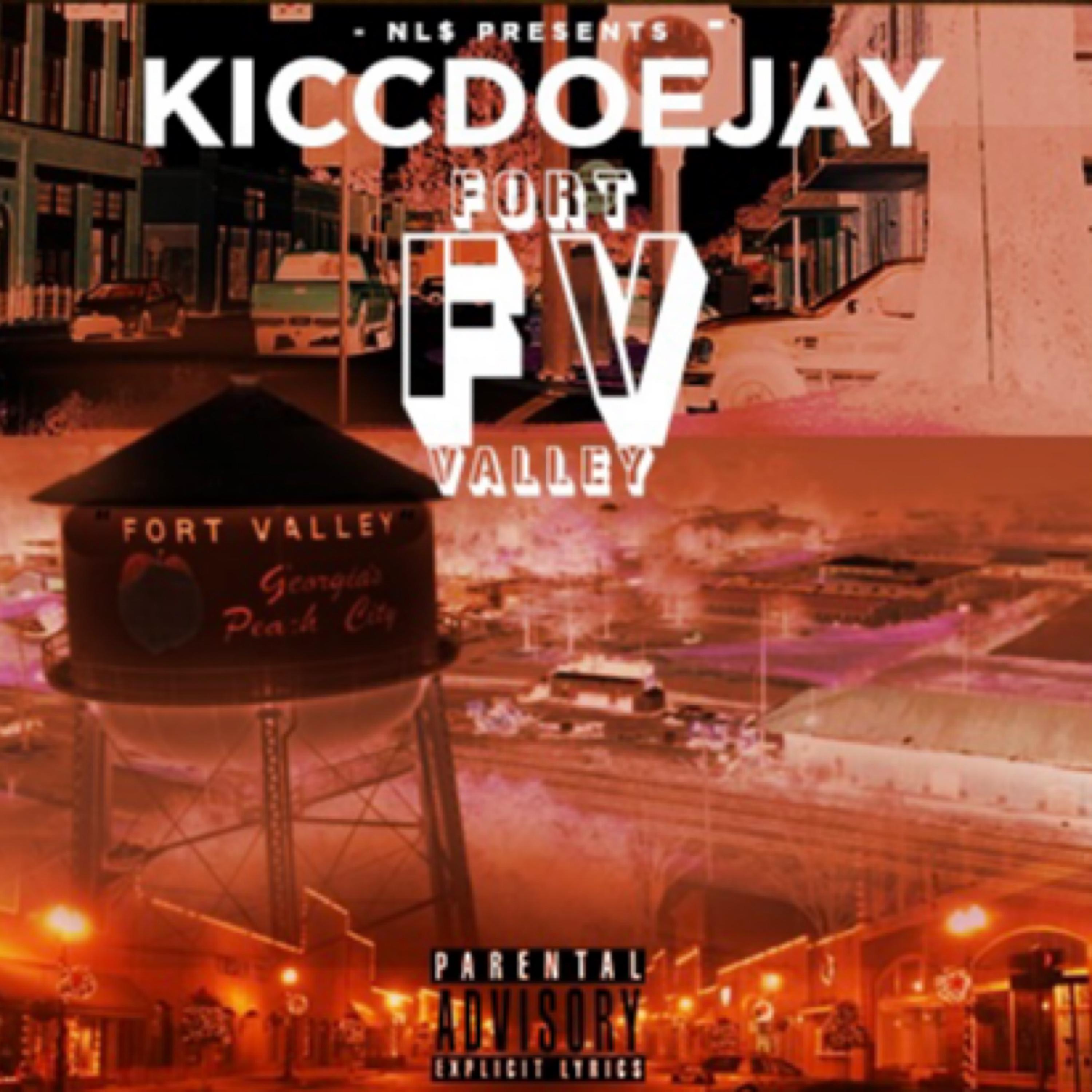 FoRt VaLLeY artwork