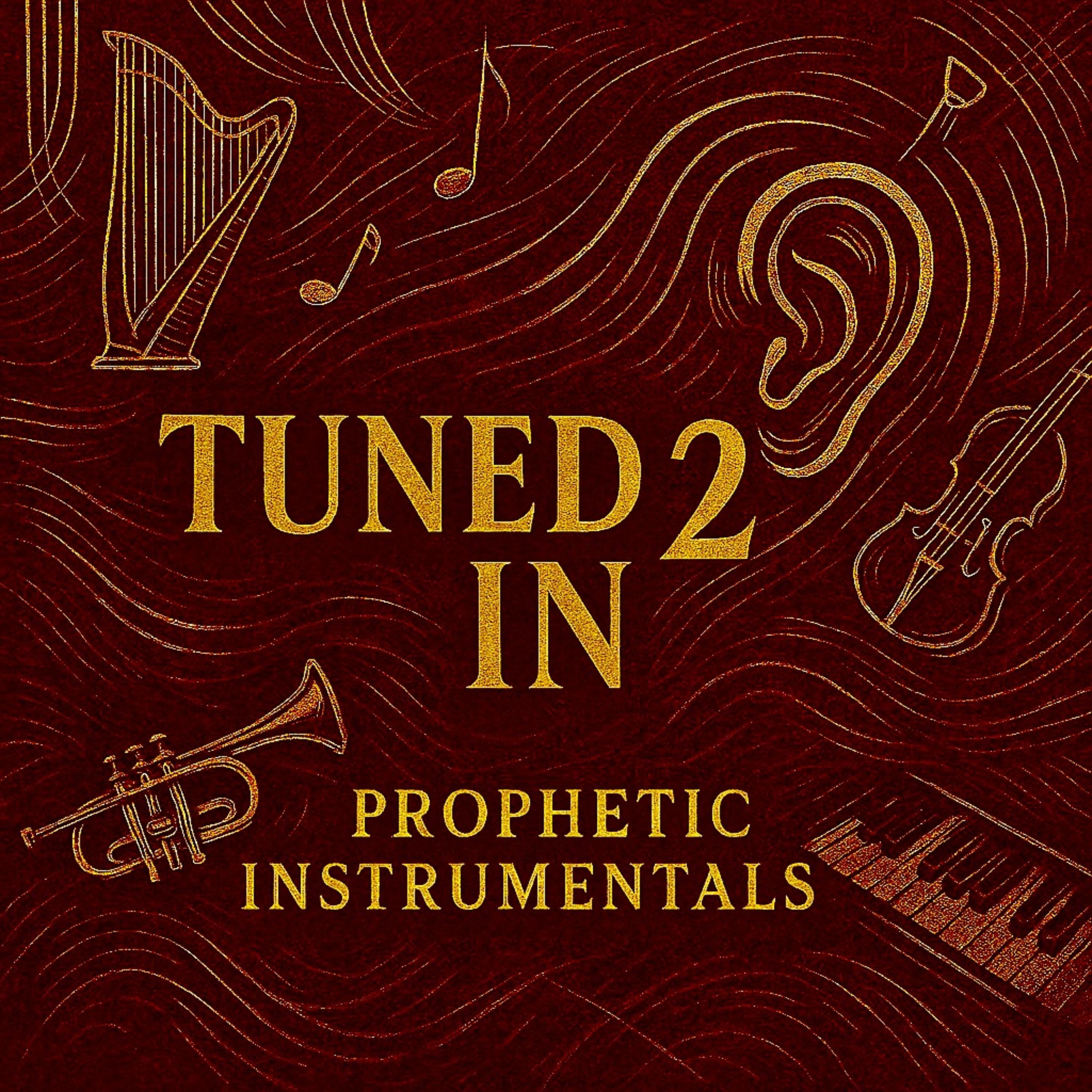 Tuned In 2 (Prophetic Instrumentals) artwork