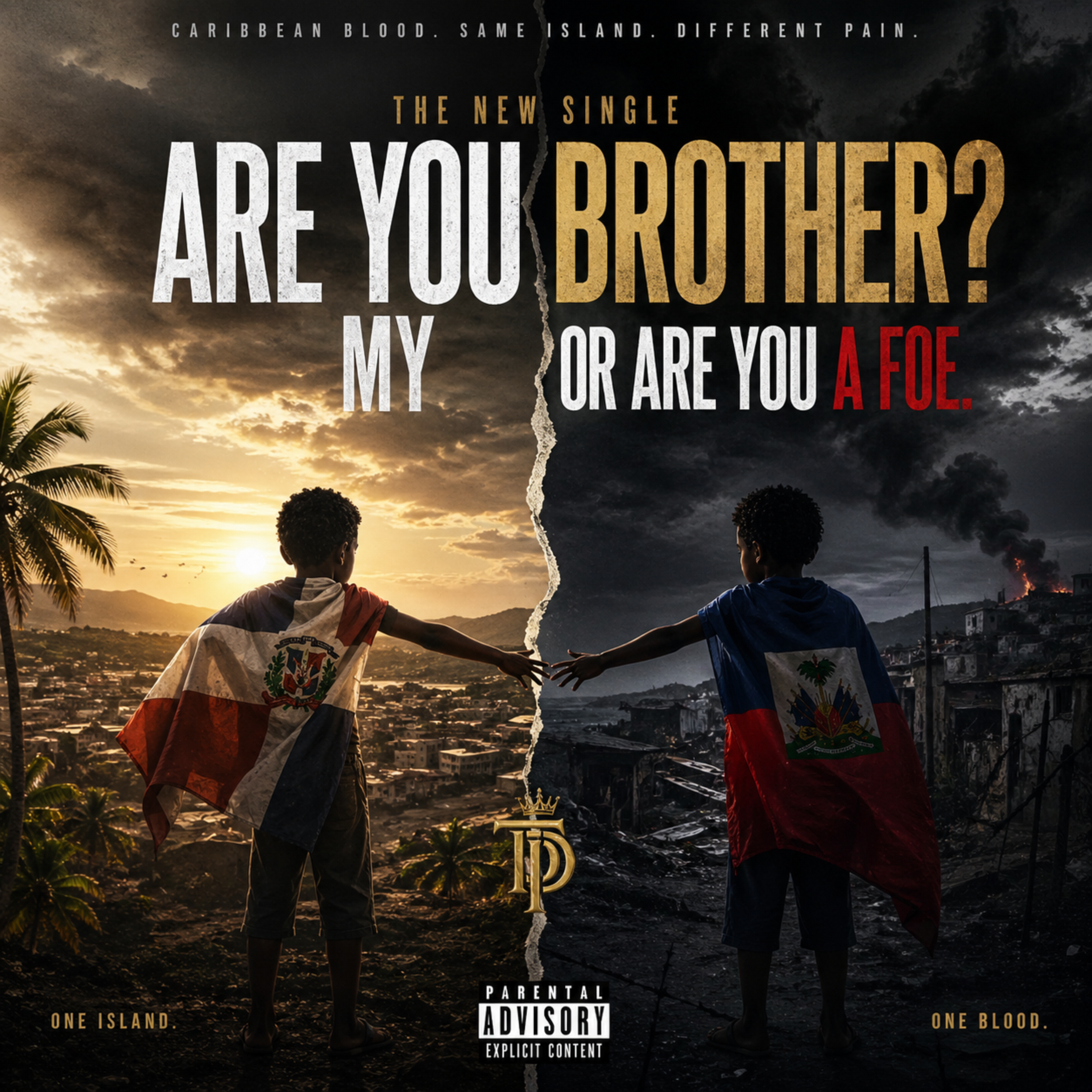 Are You My Brother? artwork