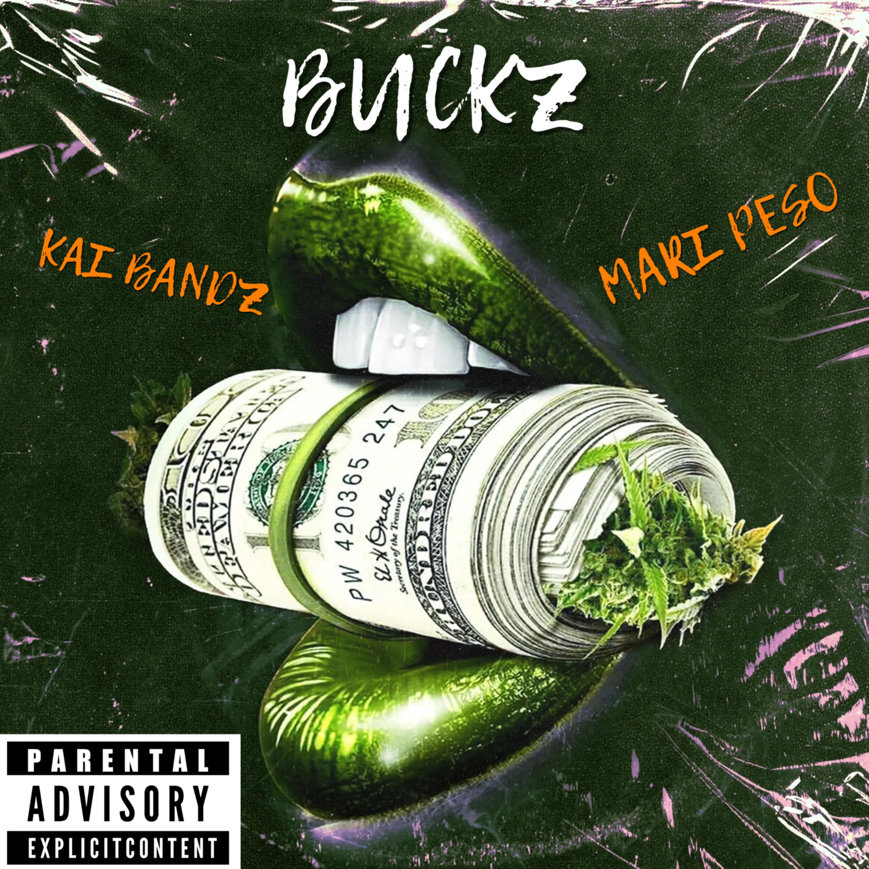 Buckz artwork
