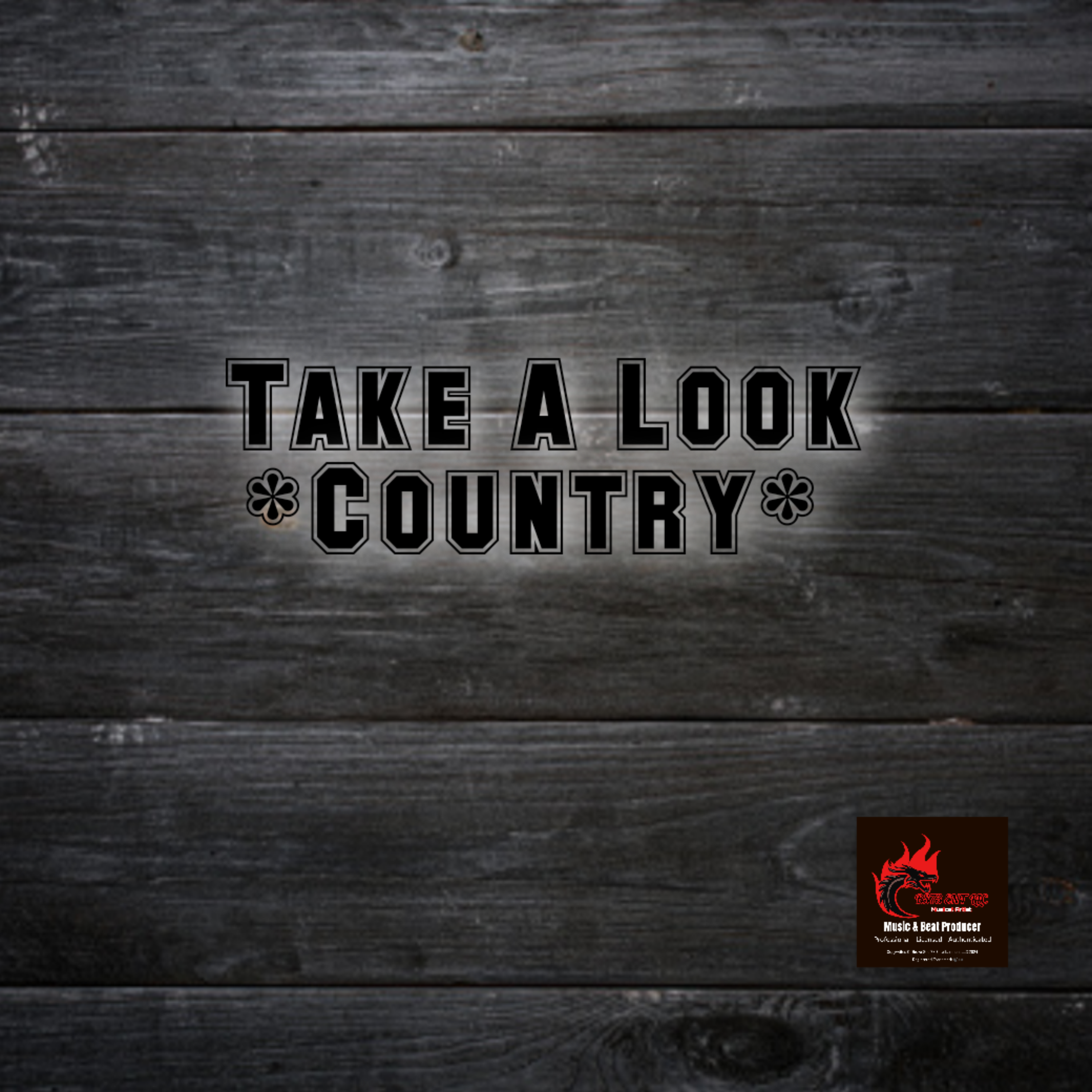 Take A Look *Country* artwork