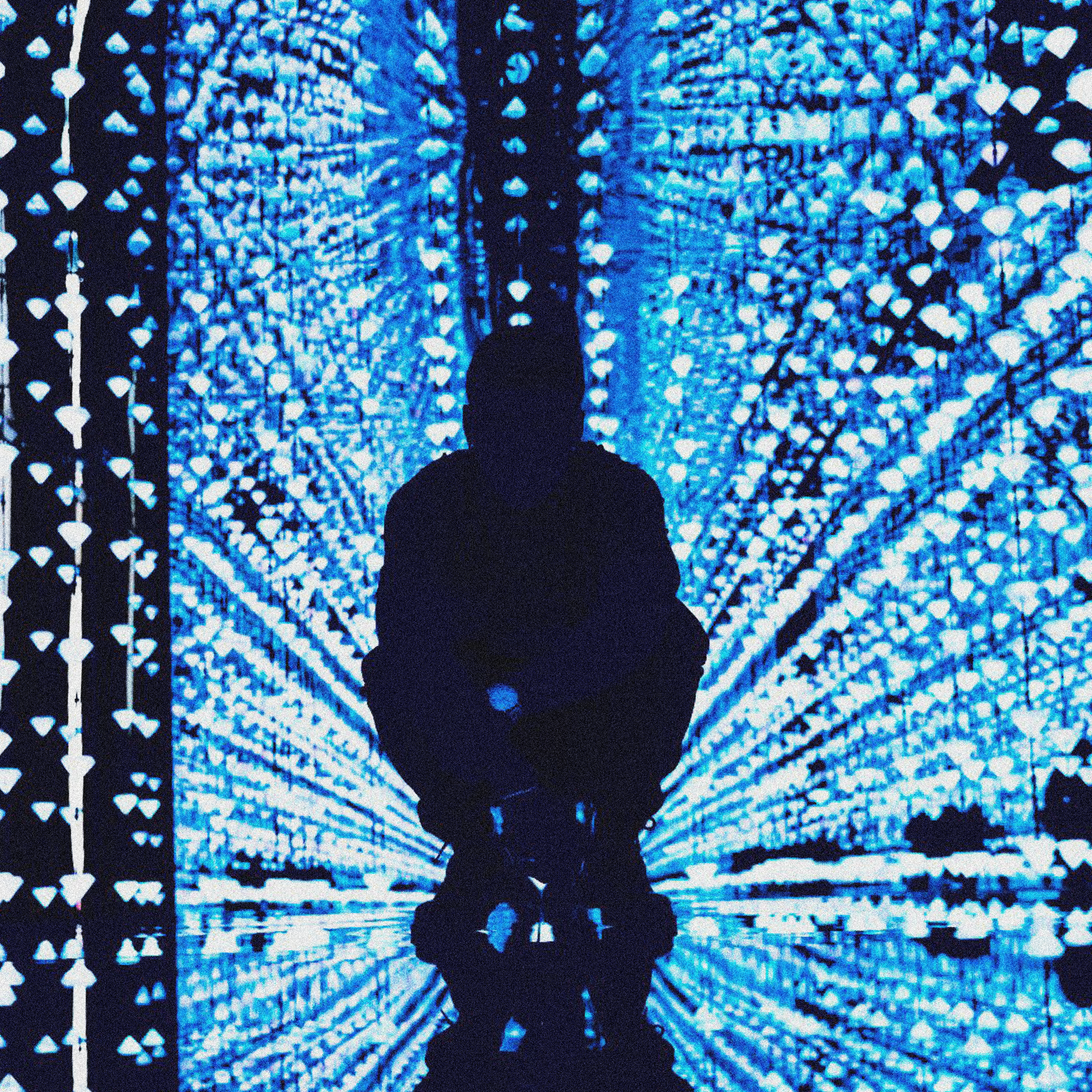 SWAROVSKI artwork