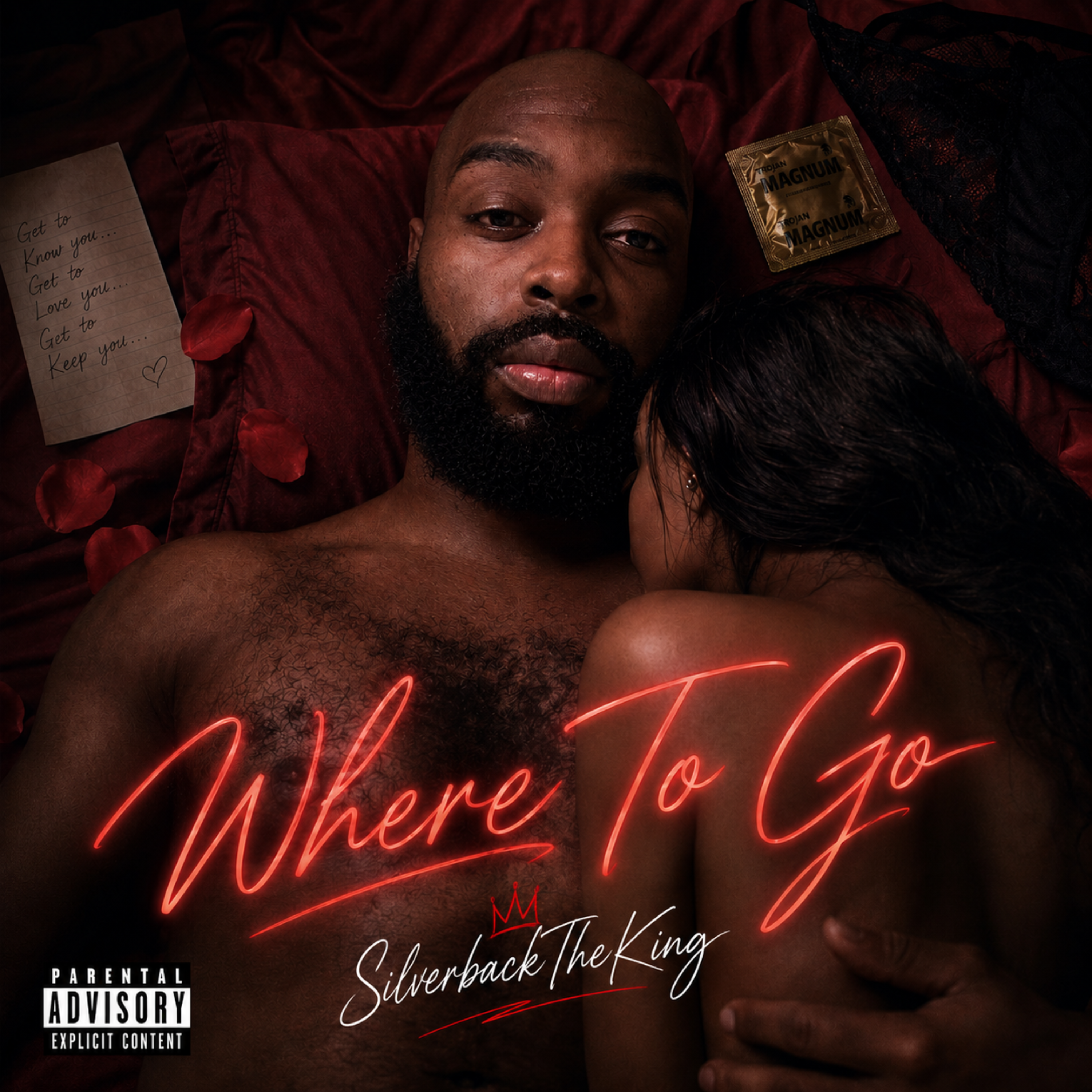 Where To Go by SilverbackTheKing cover art