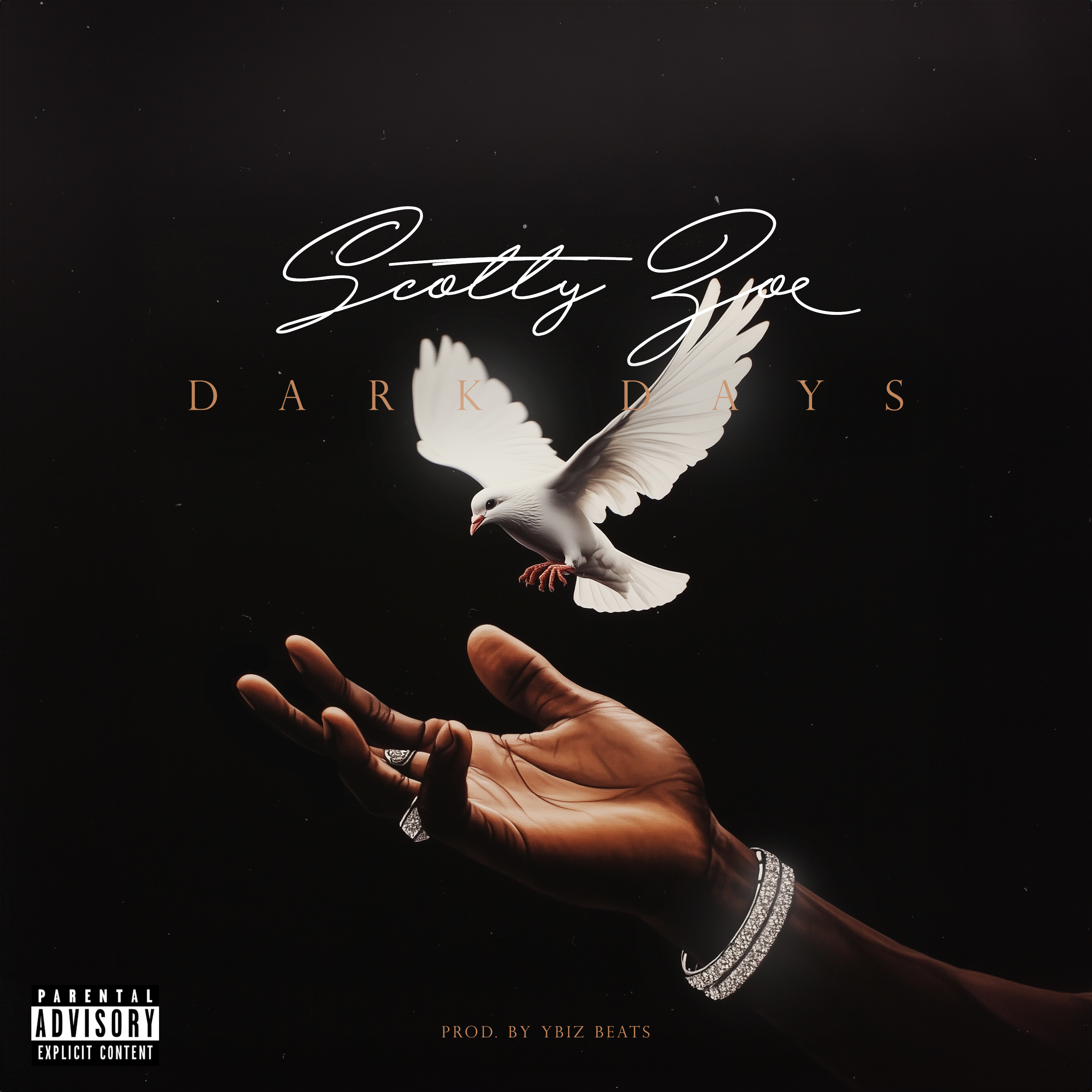 Dark Days by Scotty Zoe cover art