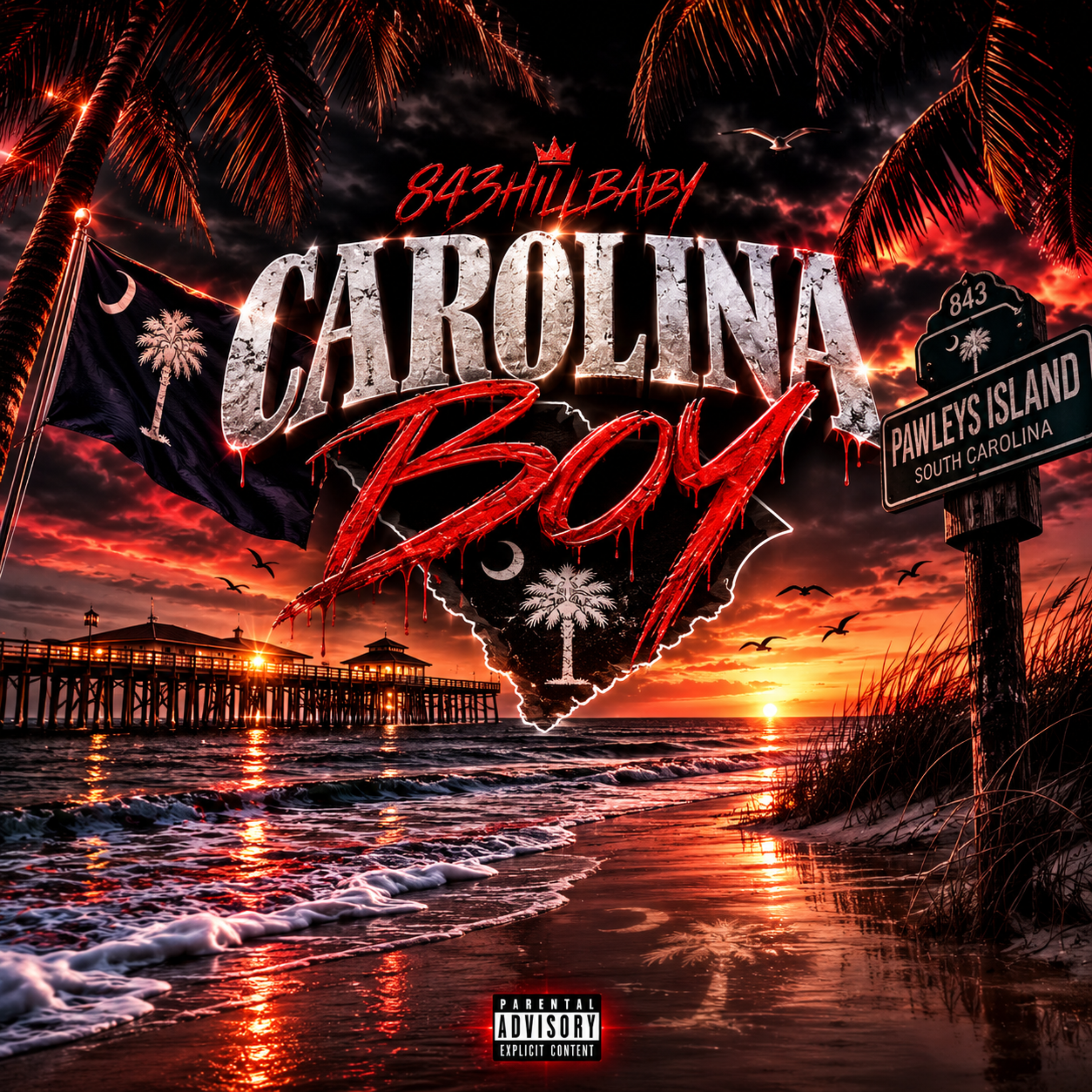 Carolina Boy by 843HillBaby cover art