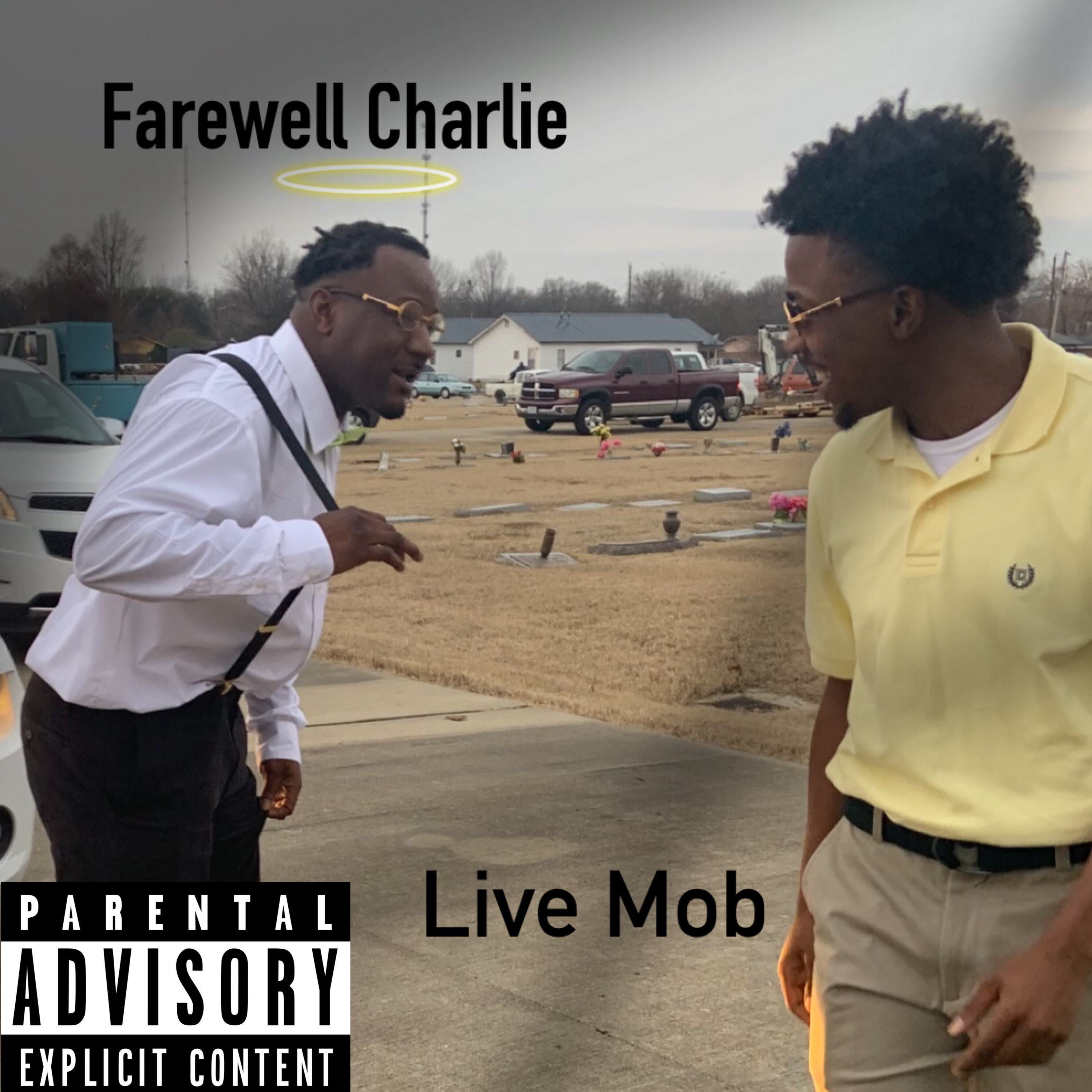 Farewell Charlie artwork