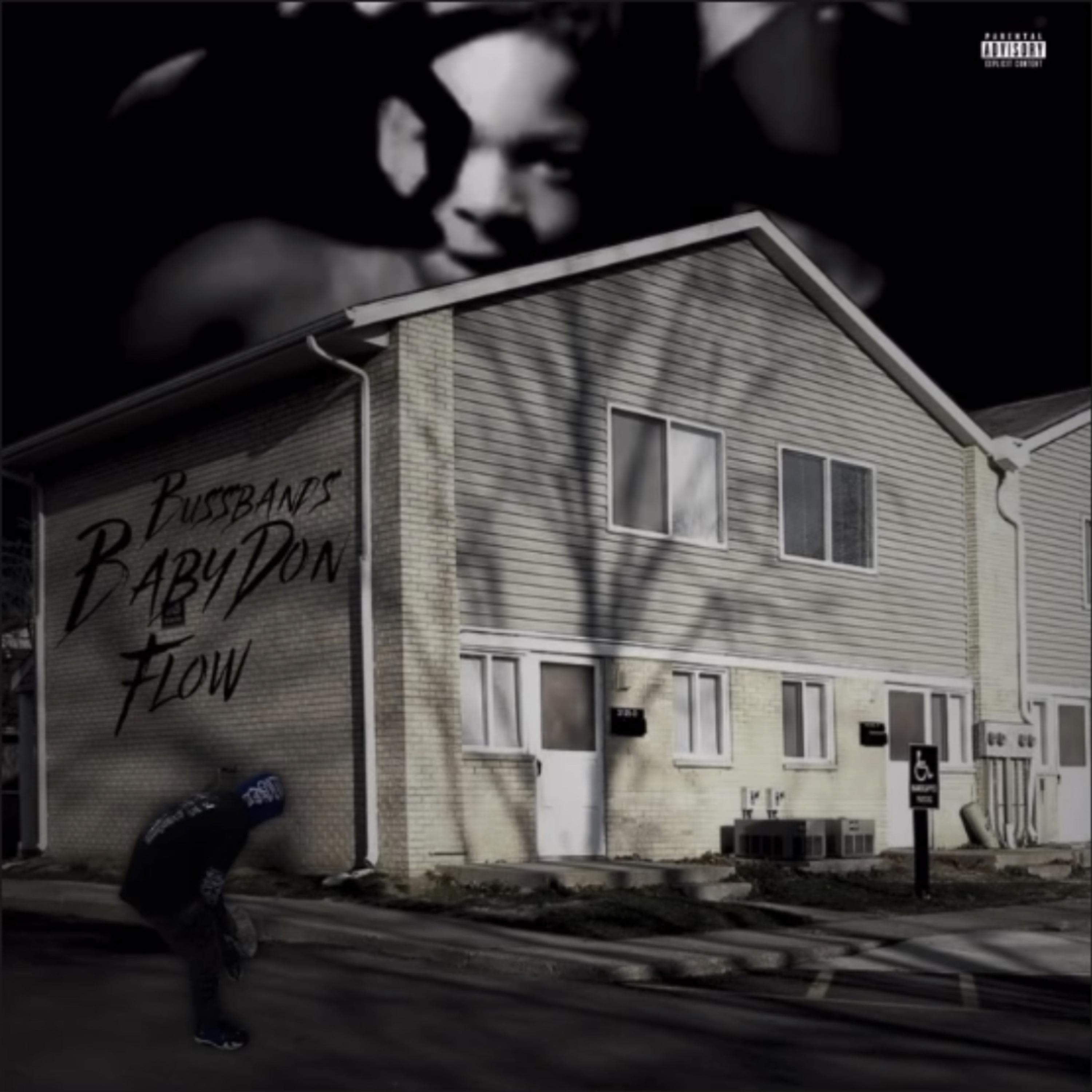 BabyDon Flow artwork