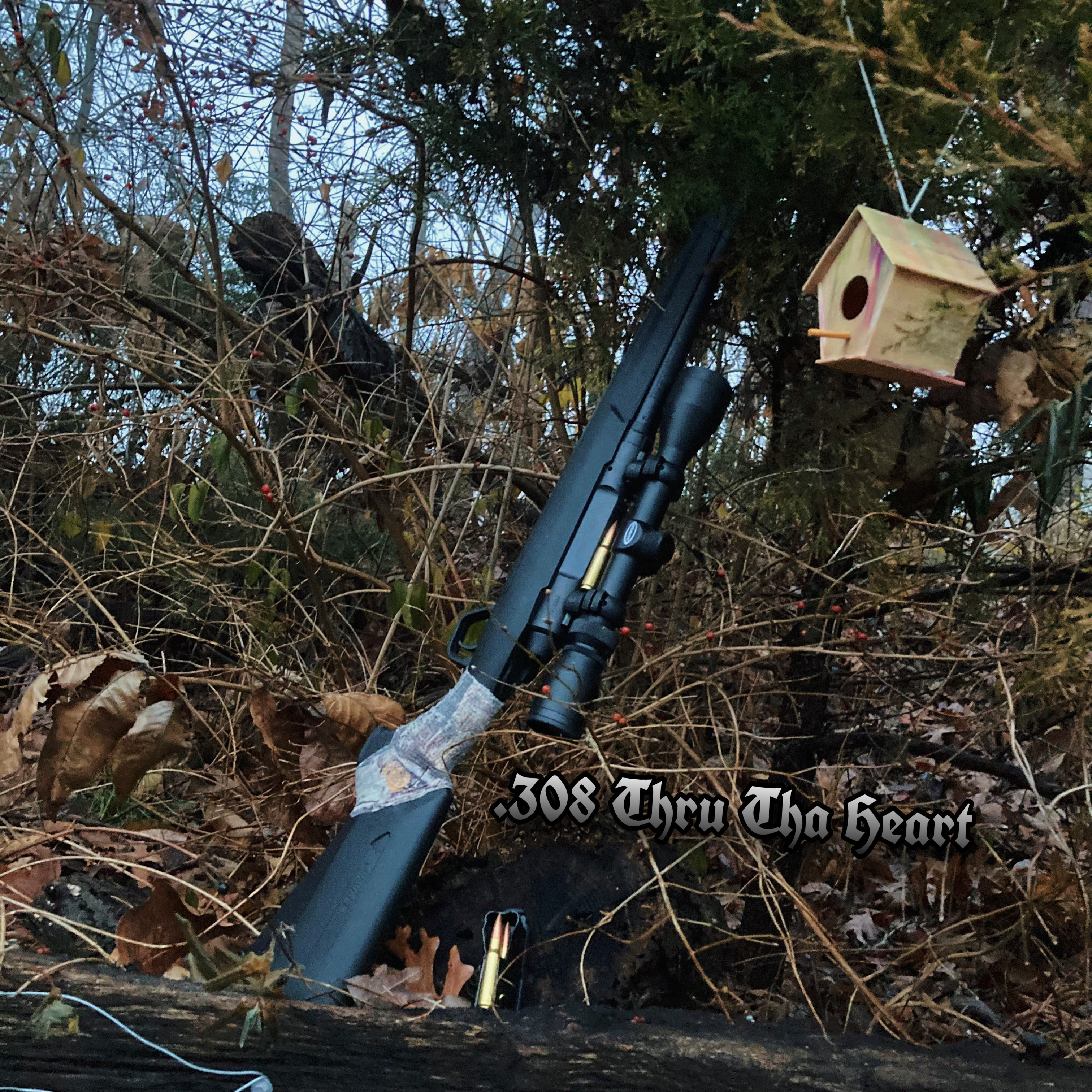.308 Thru Tha Heart artwork