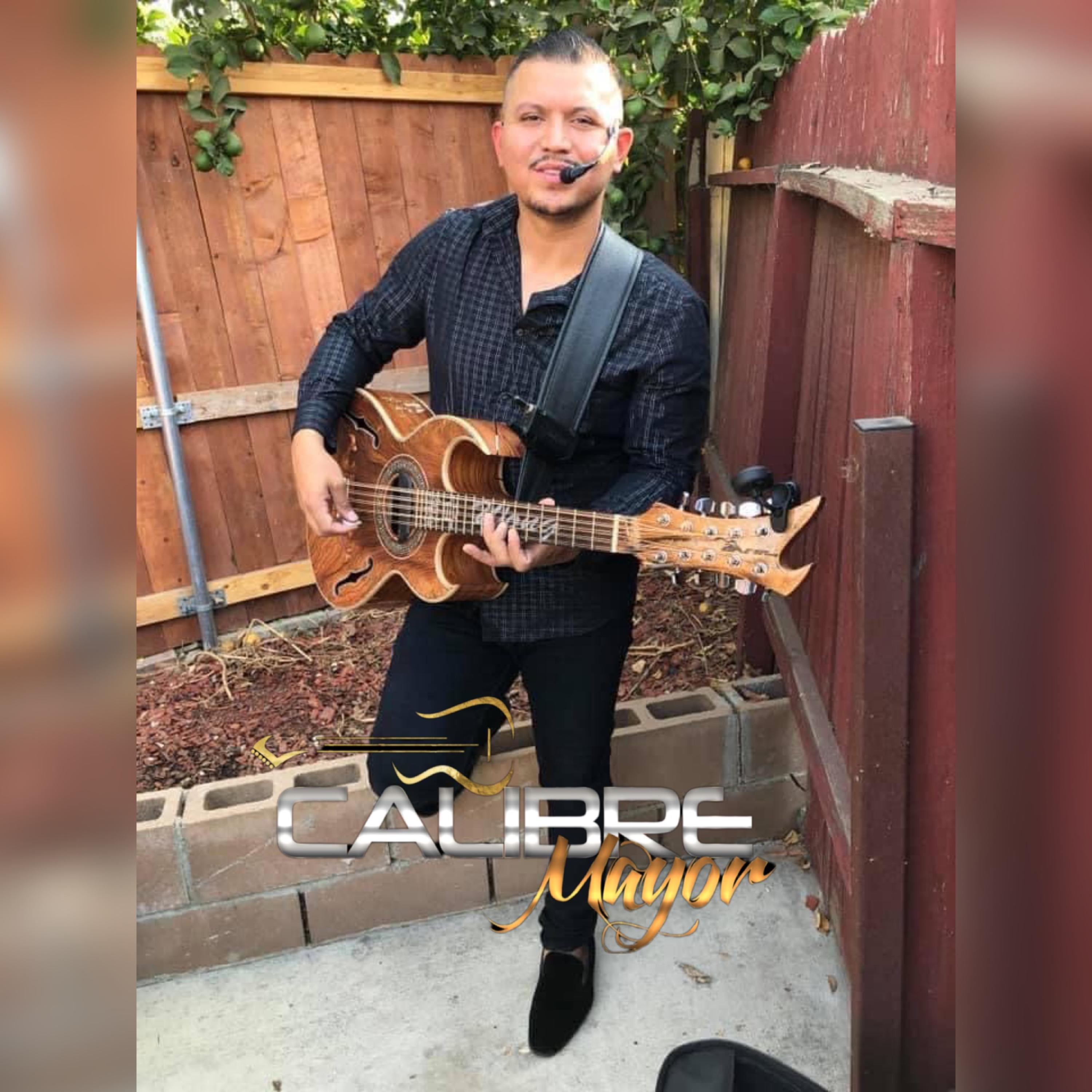 Tololoche En Vivo Vol.2 artwork