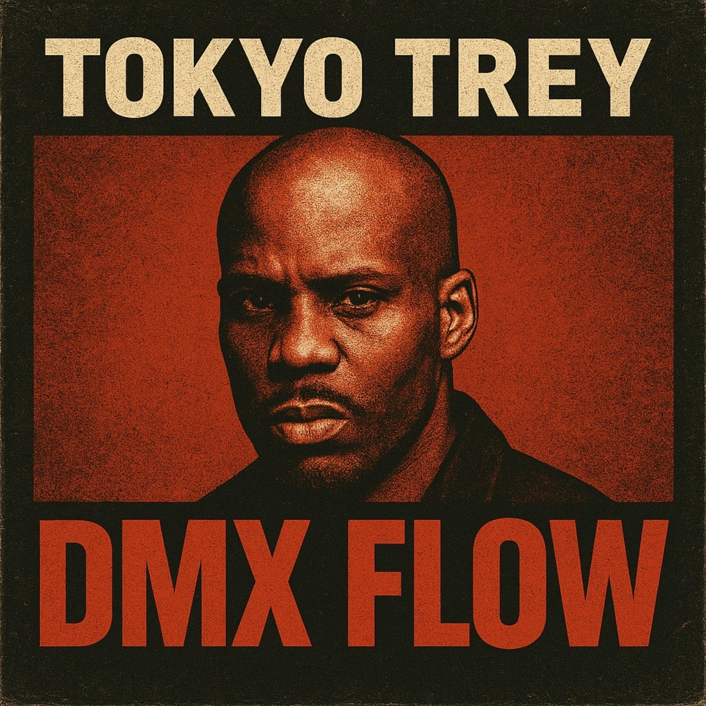 DMX Flow artwork
