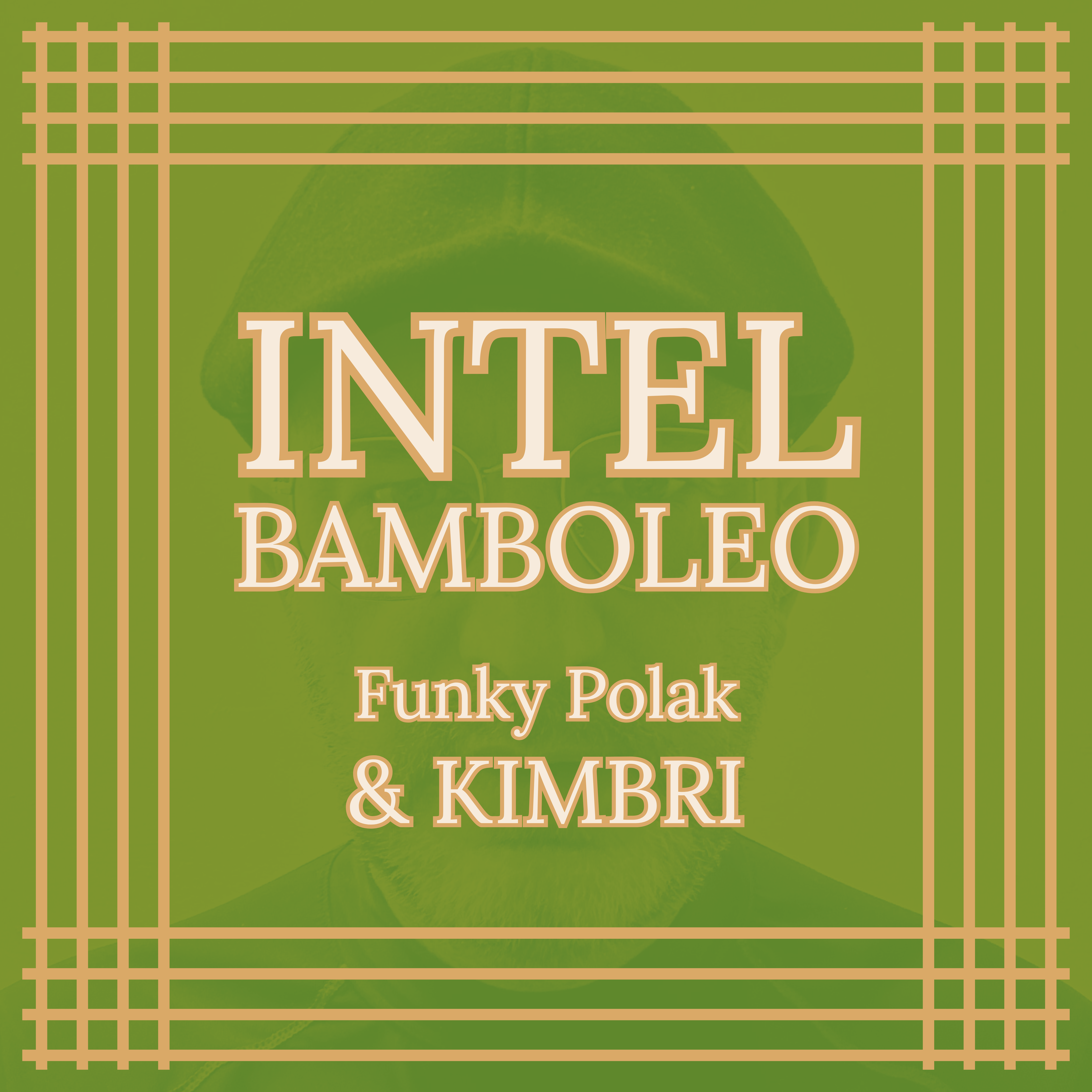 INTEL Bamboleo artwork